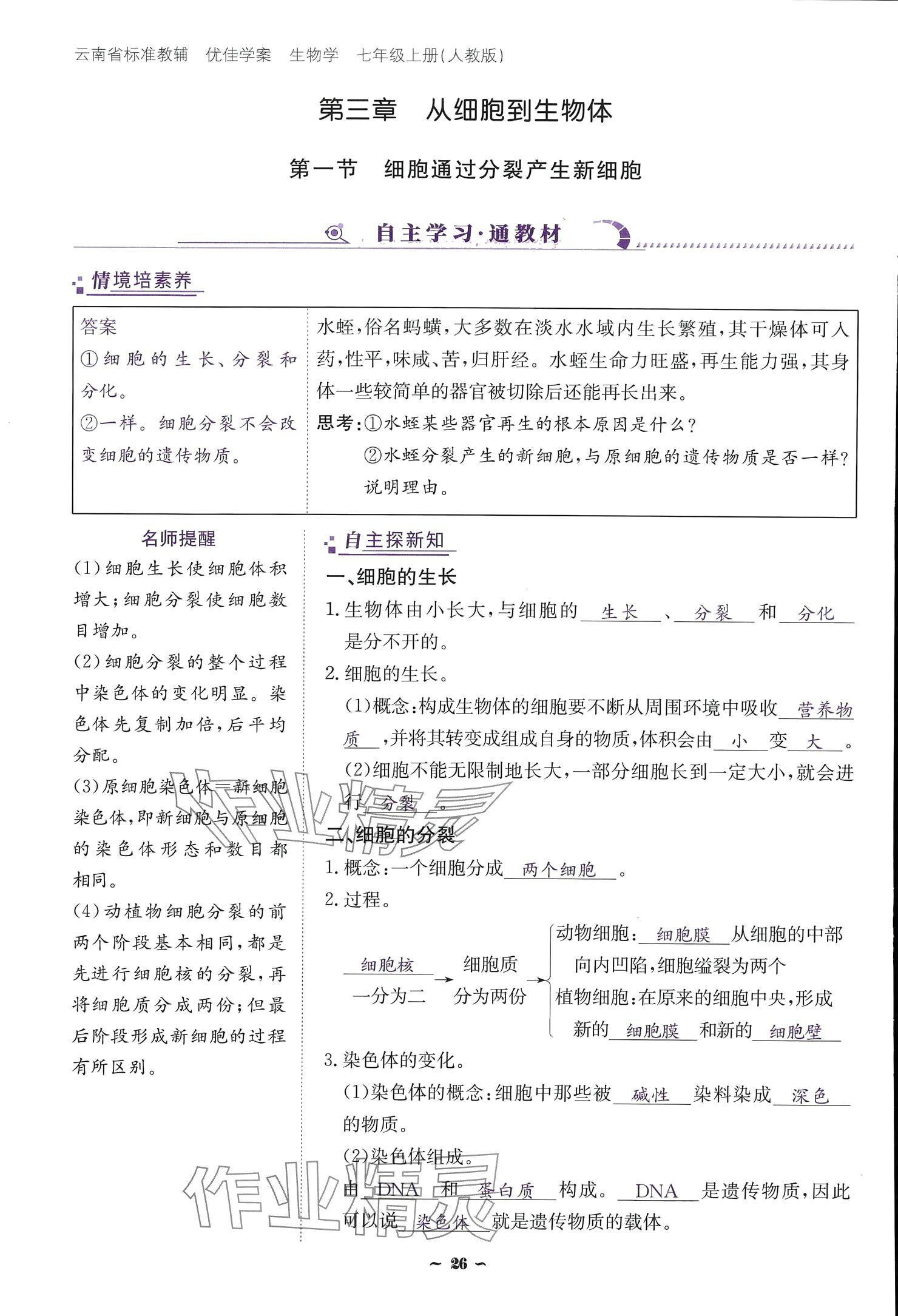 2024云南省標(biāo)準(zhǔn)教輔優(yōu)佳學(xué)案七年級生物上冊 參考答案第26頁