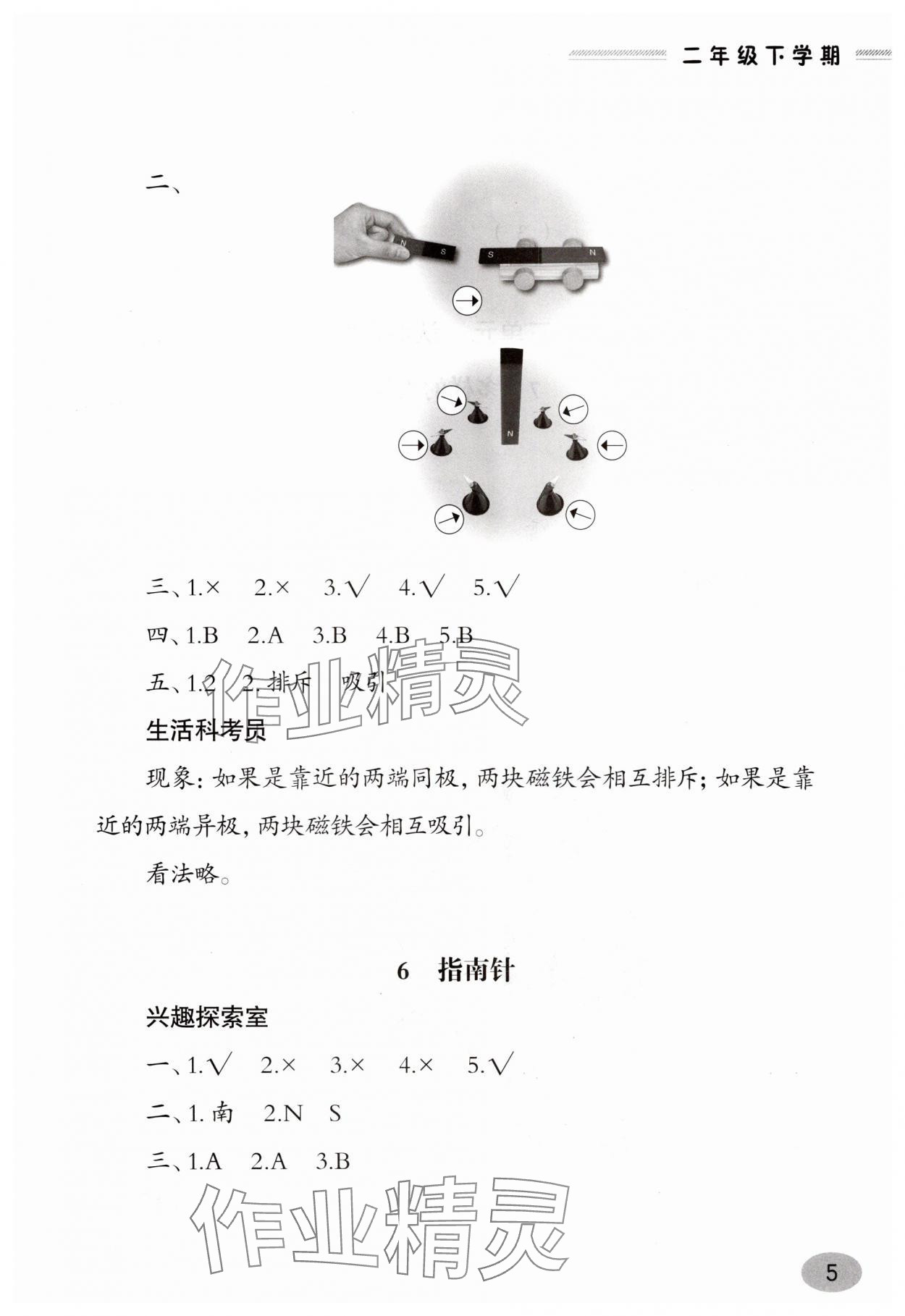 2025年新課堂同步學習與探究二年級科學下冊青島版 第5頁