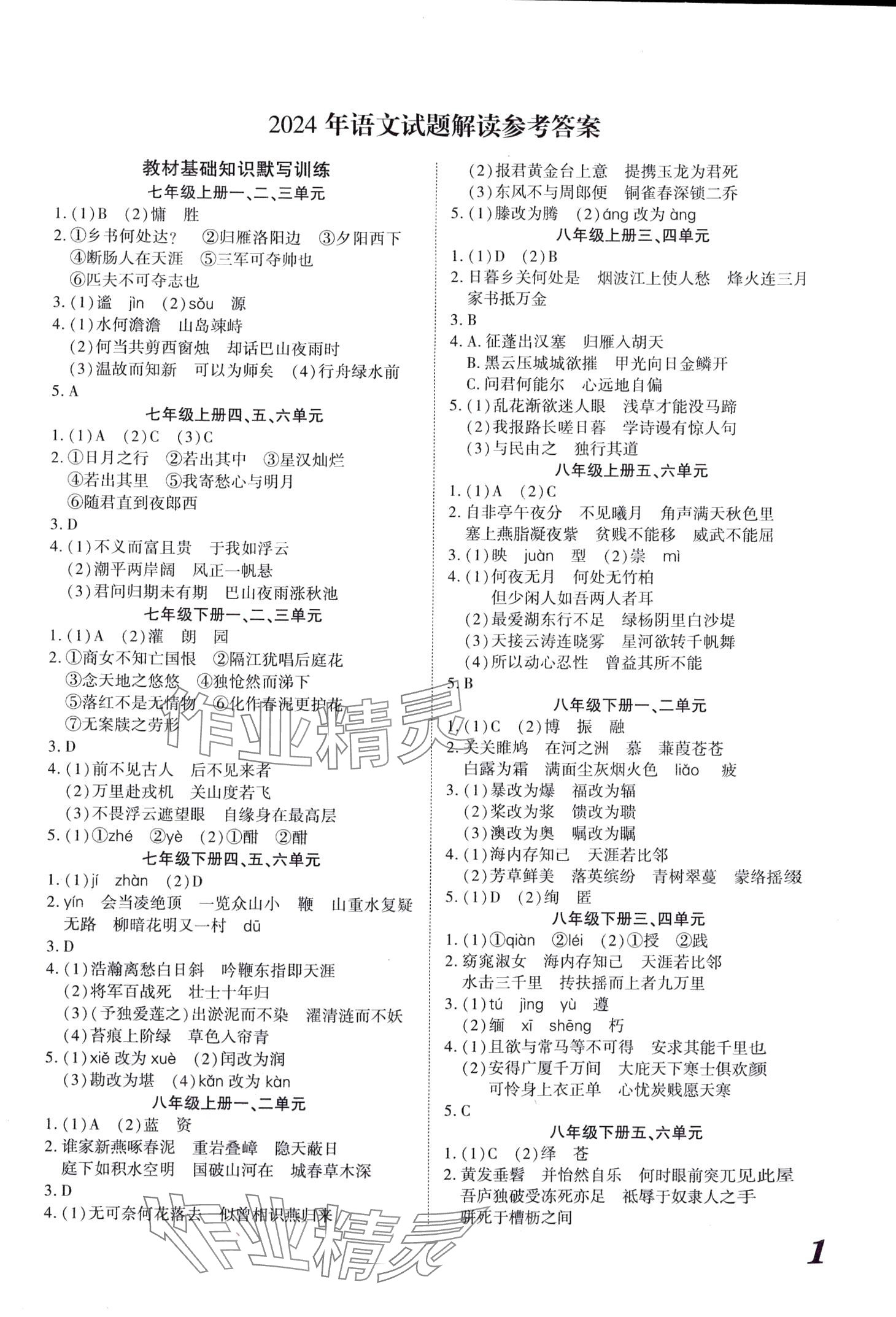 2024年蓝卡中考试题解读语文中考河南专版 第1页