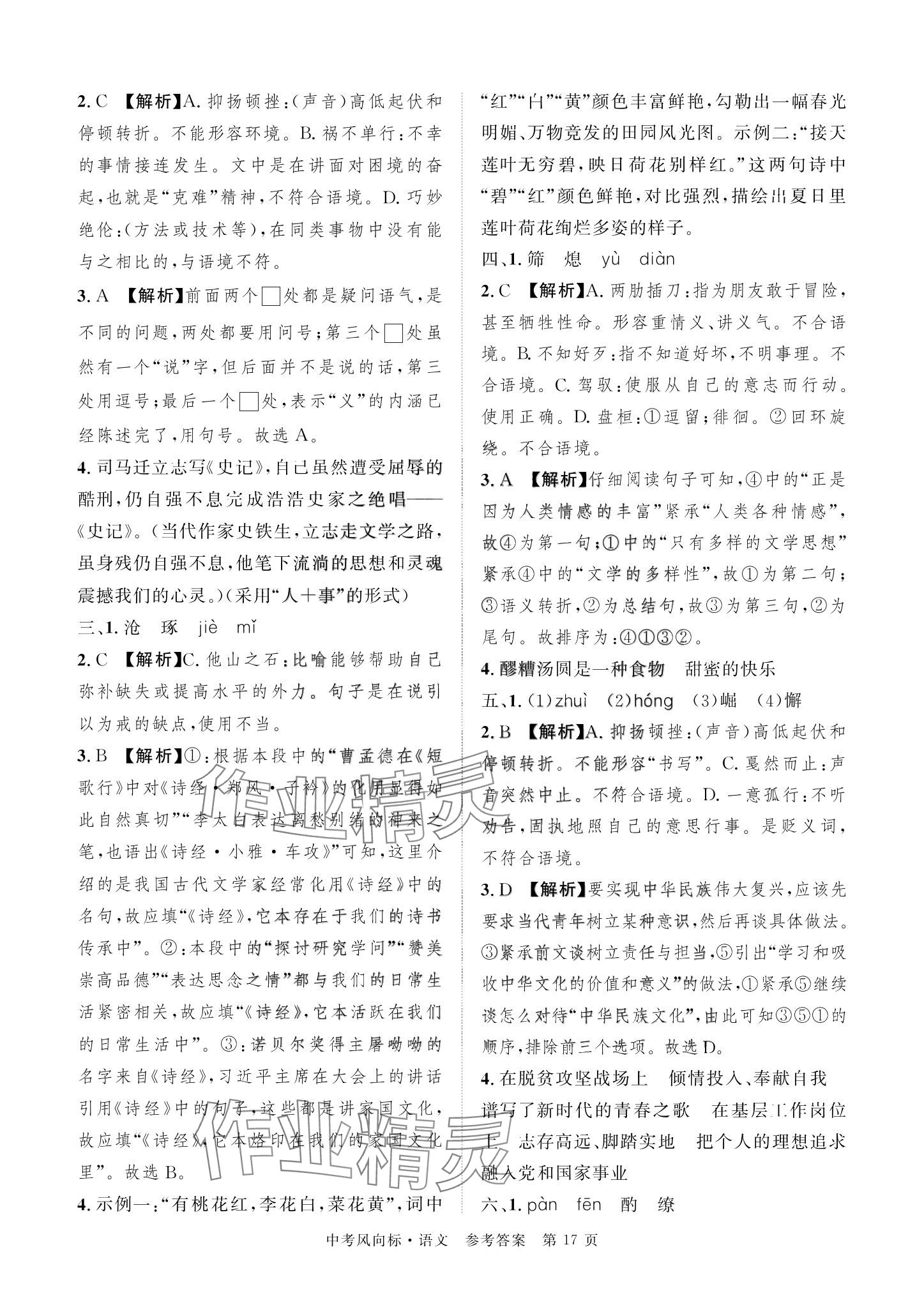 2024年启航中考风向标语文&nbsp;参考答案第17页
