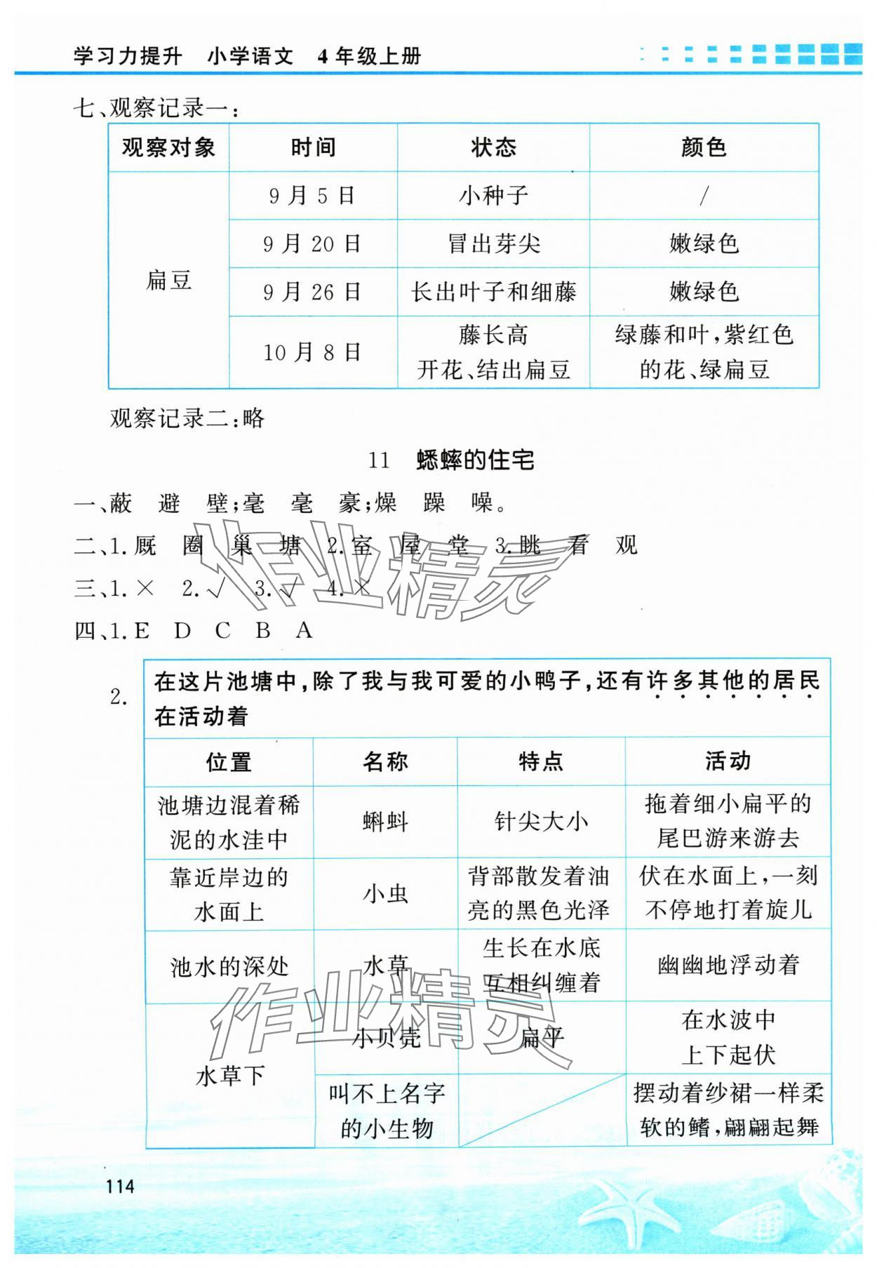 2024年學(xué)習(xí)力提升四年級語文上冊人教版 第6頁