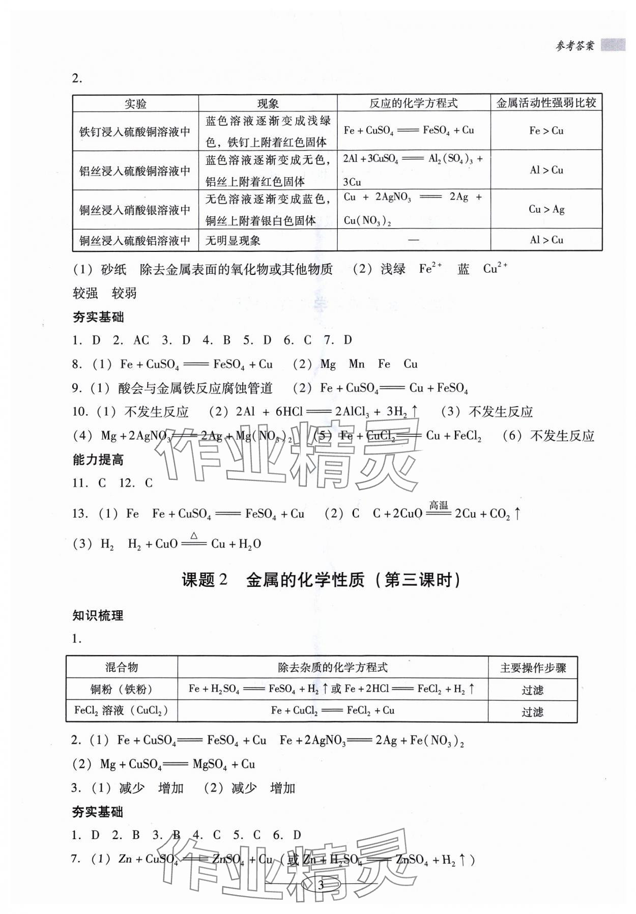 2024年南方新课堂金牌学案九年级化学下册人教版珠海专版 参考答案第3页