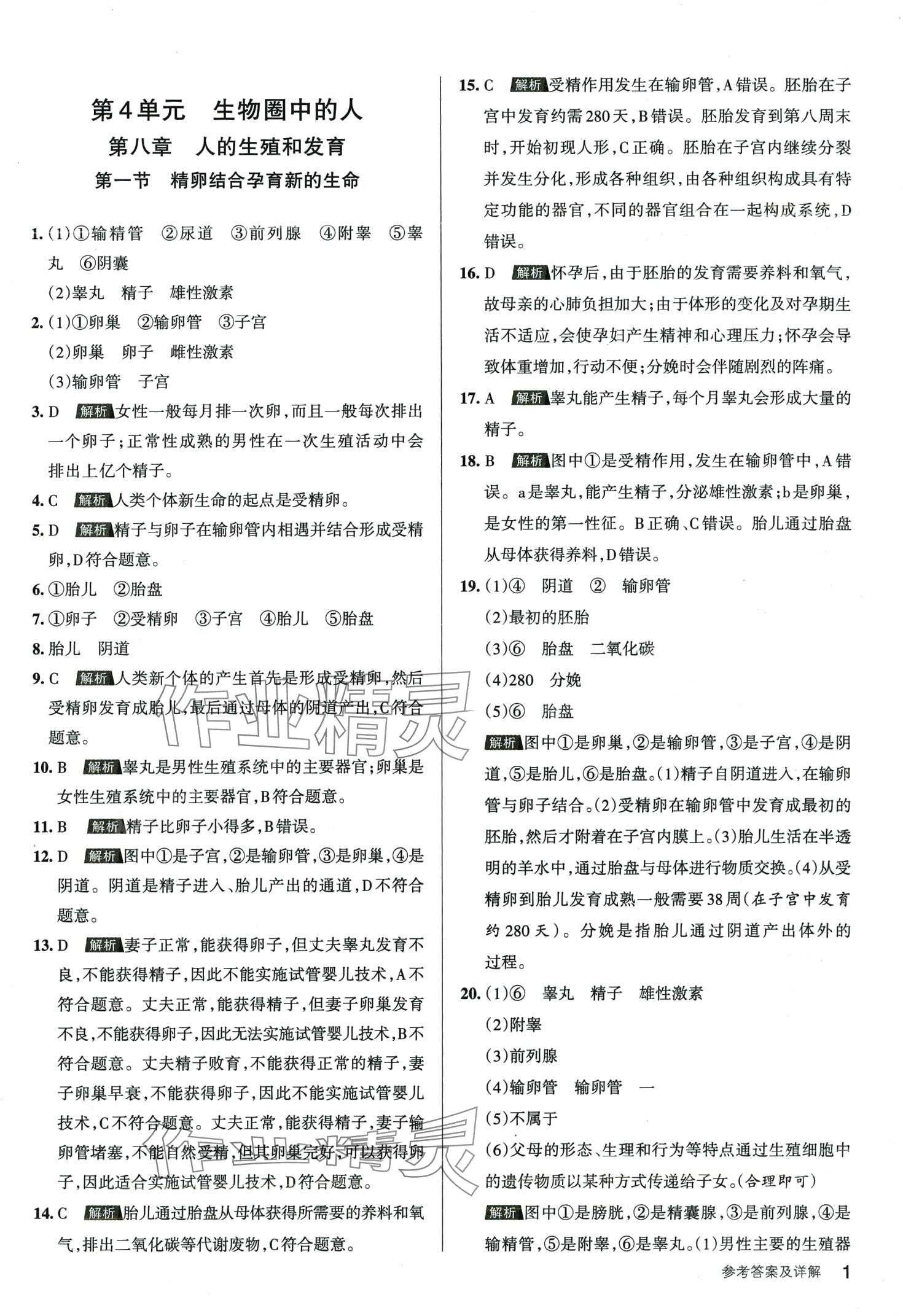 2024年名校作业七年级生物下册苏教版 第1页