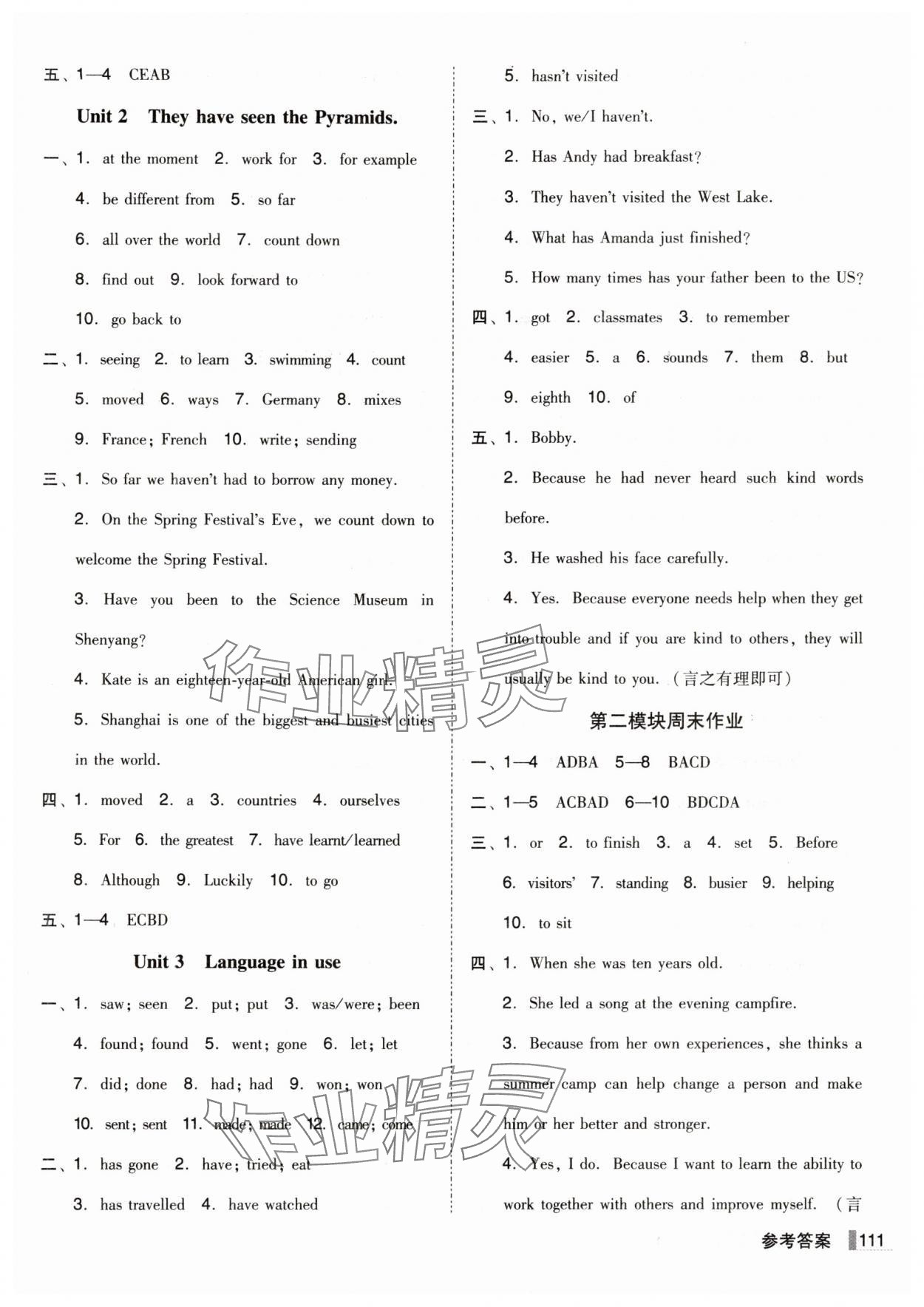 2025年辽宁作业分层培优学案八年级英语下册外研版 第3页