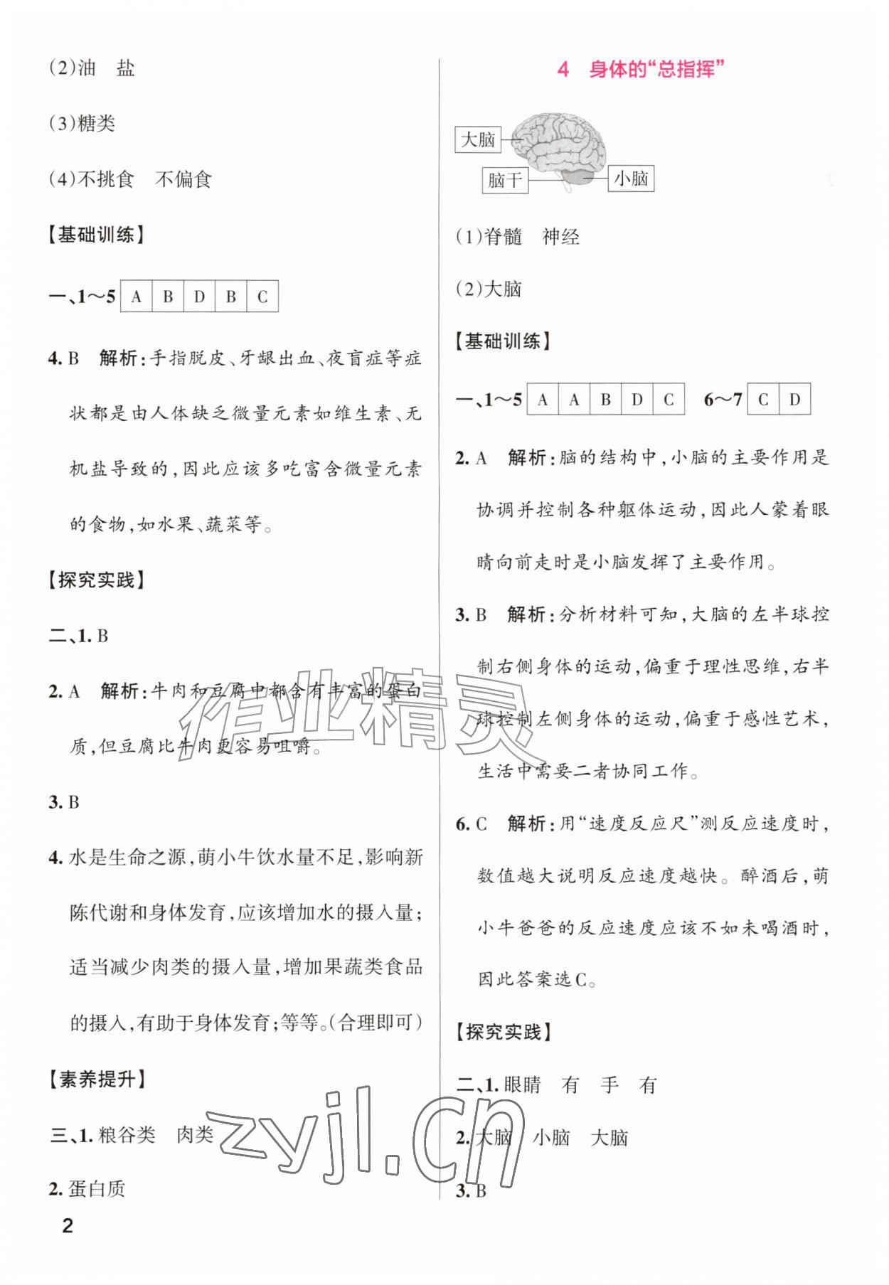 2026年素质培养与能力拓展六年级科学上册教科版&nbsp;第2页
