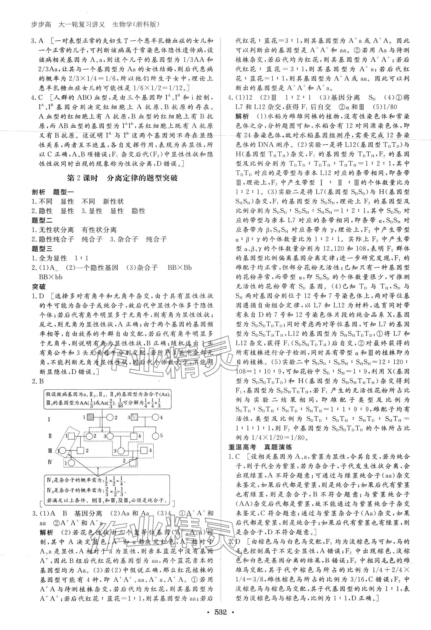 2024年步步高大一輪復習講義高中生物浙科版 第22頁