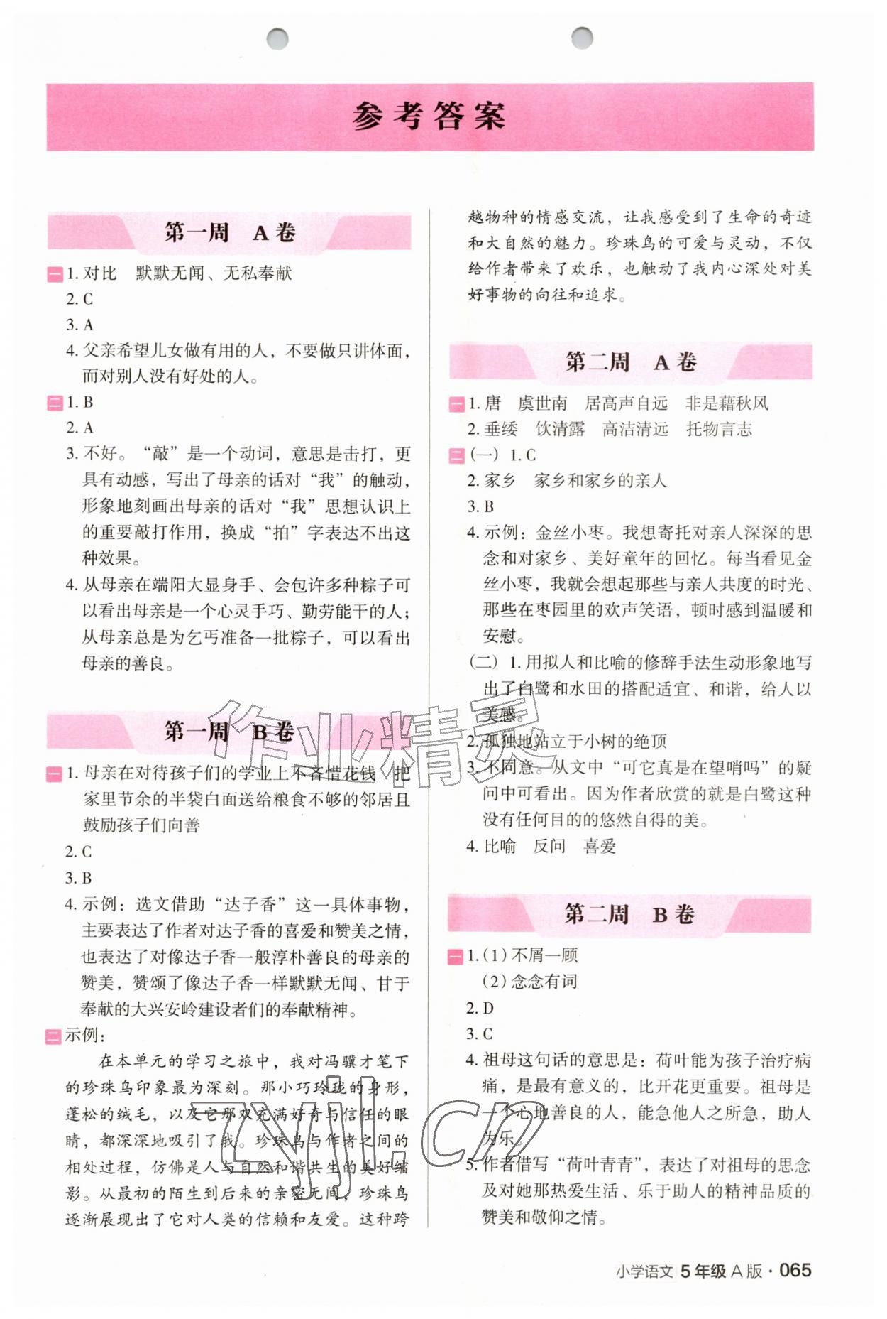 2026年木头马阅读小卷五年级语文人教版A版&nbsp;第1页