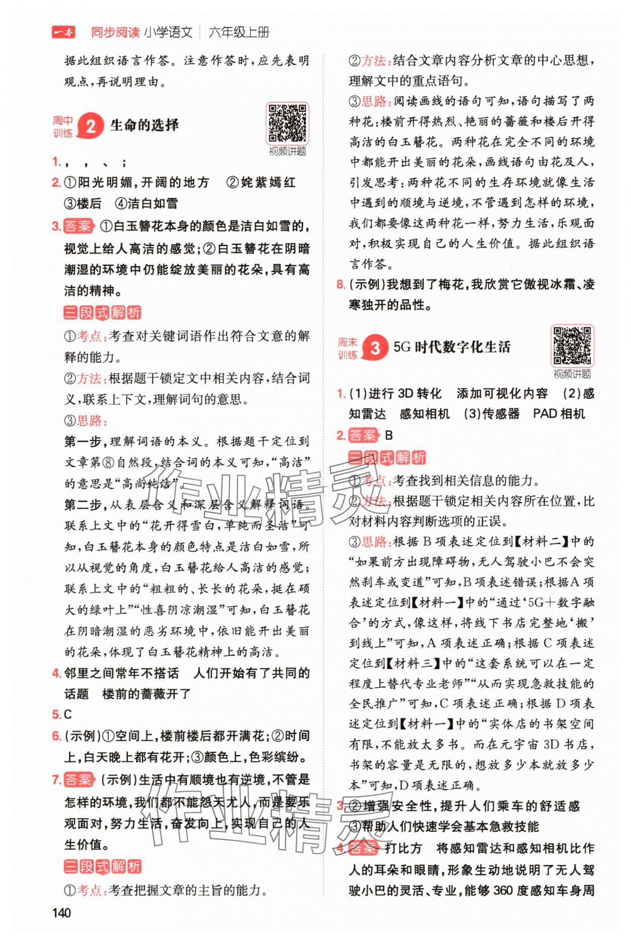 2025年一本同步閱讀六年級(jí)語文上冊(cè)人教版 第4頁