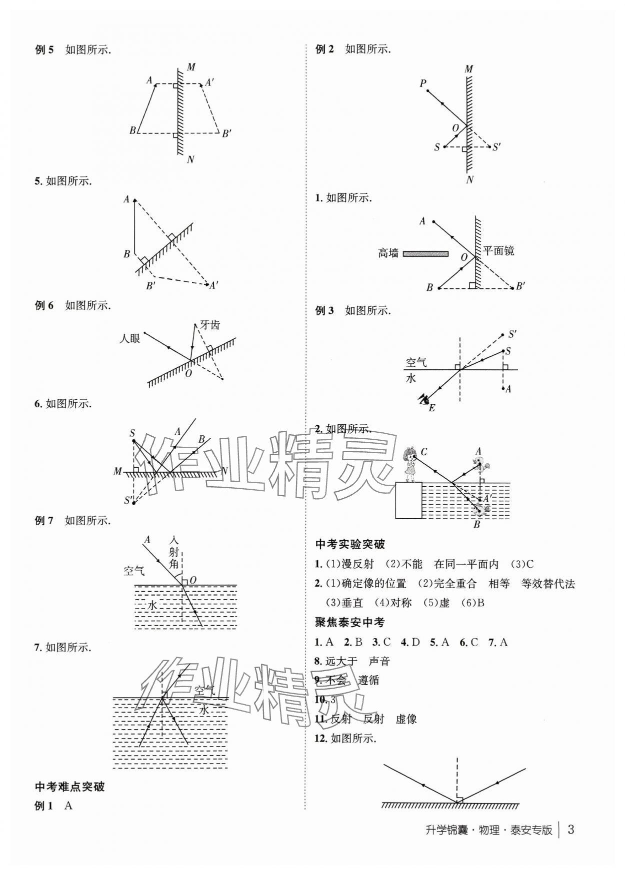 2024年升学锦囊物理泰安专版 第3页