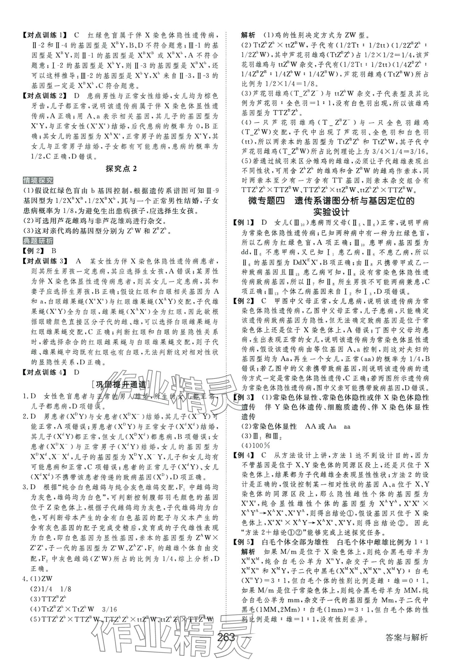 2024年綠色通道高中生物必修2人教版 第11頁