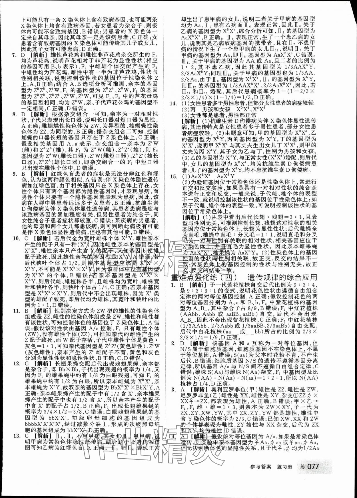 2024年全品學(xué)練考高中生物必修2人教版 第11頁(yè)