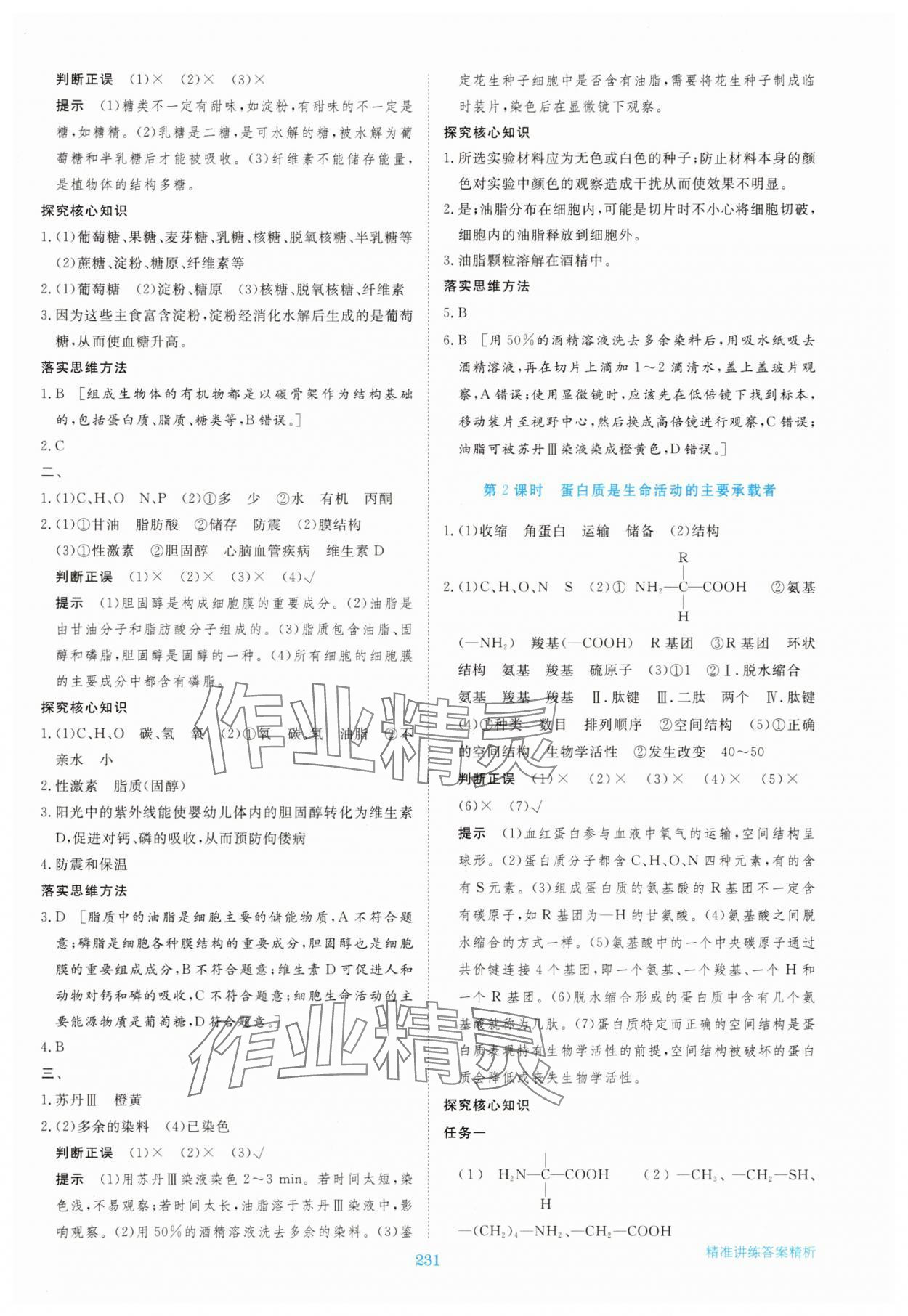 2025年步步高精准讲练高中生物必修1浙教版 参考答案第2页