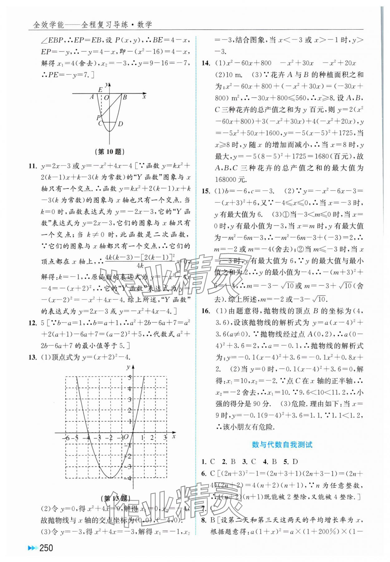 2025年全效學(xué)能全程復(fù)習(xí)導(dǎo)練中考數(shù)學(xué) 第12頁