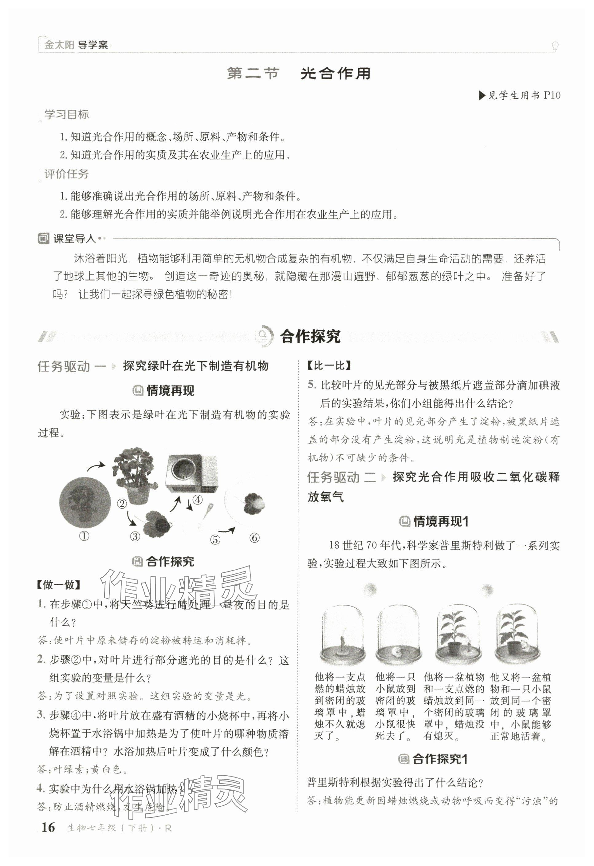 2025年金太陽導(dǎo)學(xué)案七年級生物下冊人教版 參考答案第16頁