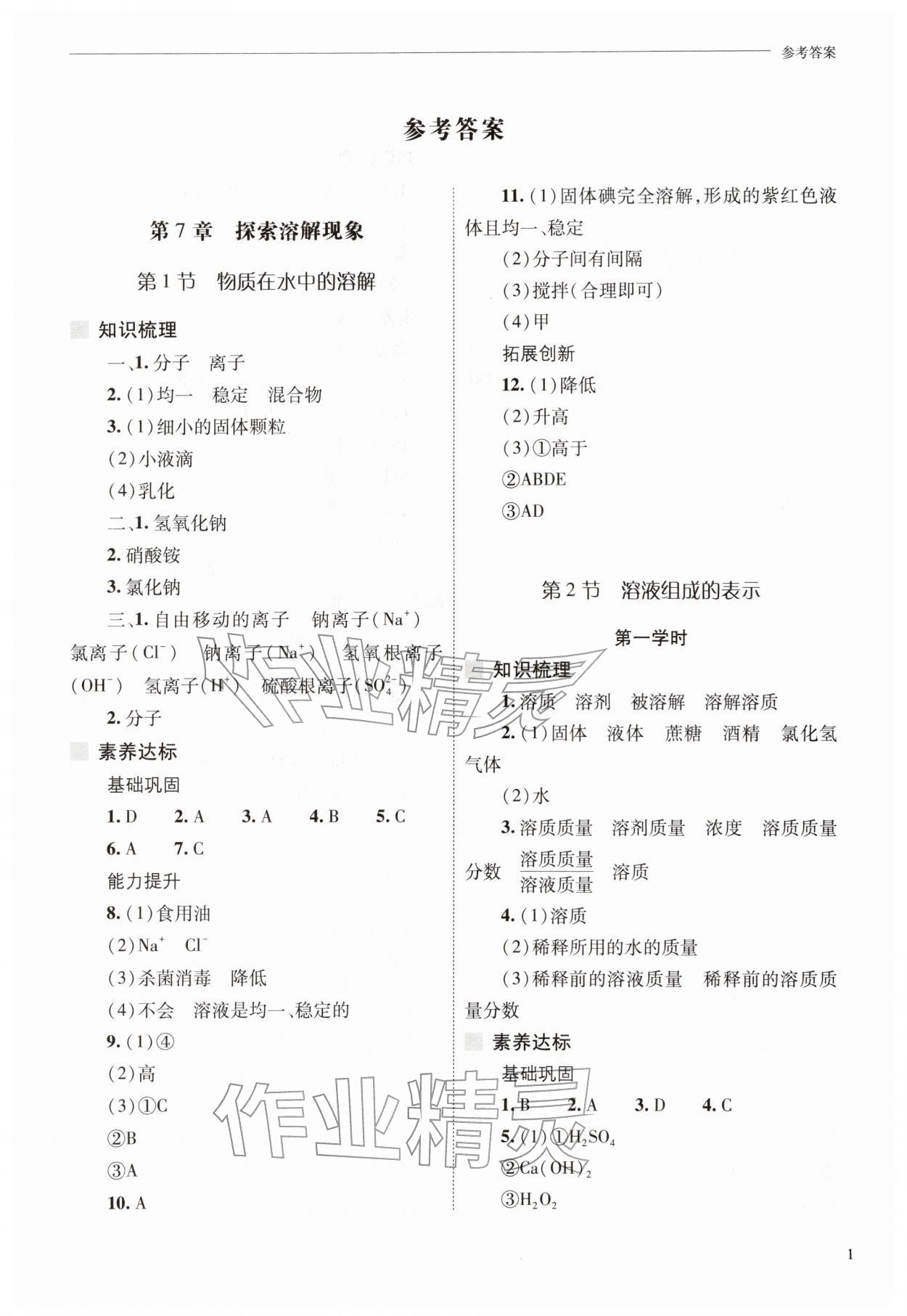 2026年新课程问题解决导学方案九年级化学下册沪教版&nbsp;第1页