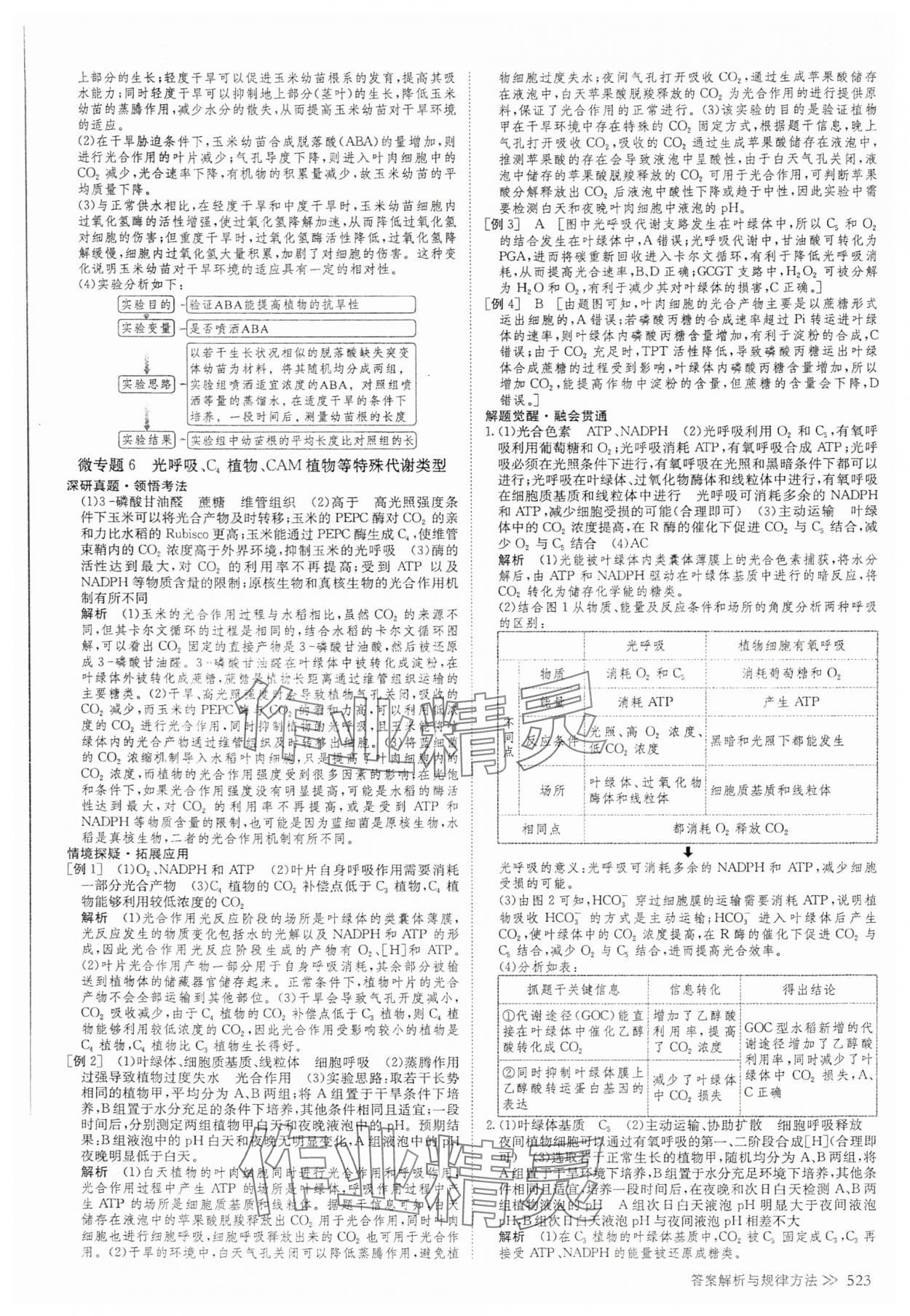 2025年創新設計高考總復習高中生物 參考答案第17頁