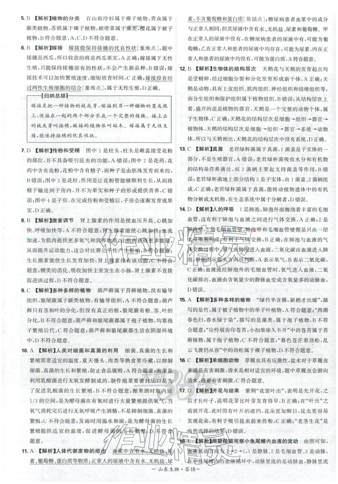 2026年天利38套中考试题精选八年级生物山东专版 第18页