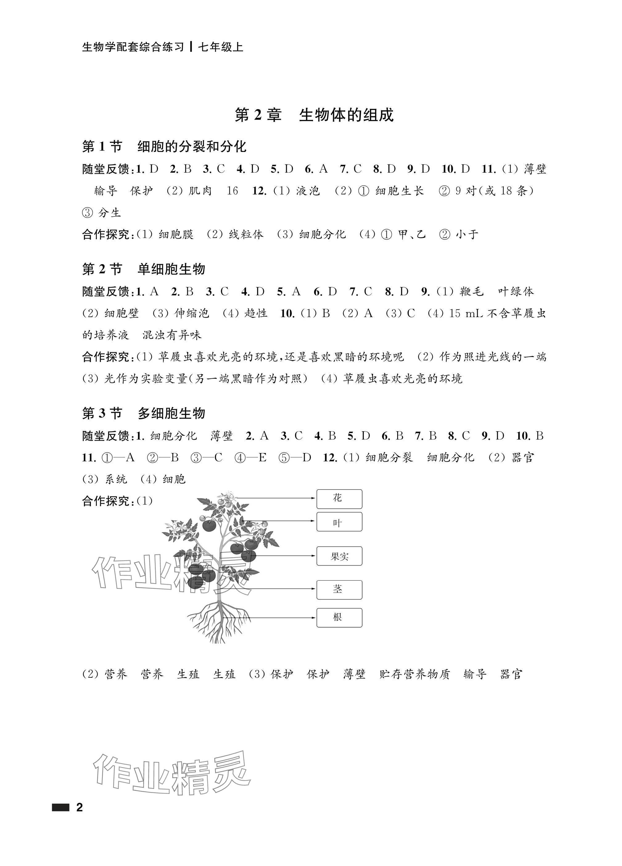 2024年配套综合练习甘肃七年级生物上册苏教版 参考答案第2页