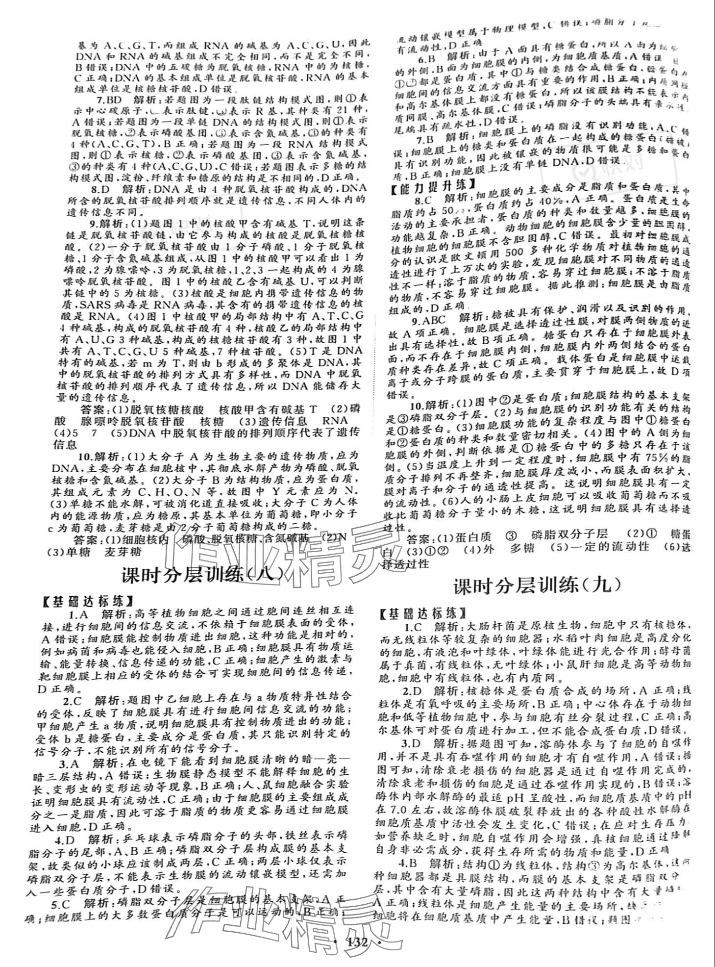 2023年同步練習(xí)冊分層檢測卷高中生物必修1人教版 參考答案第4頁