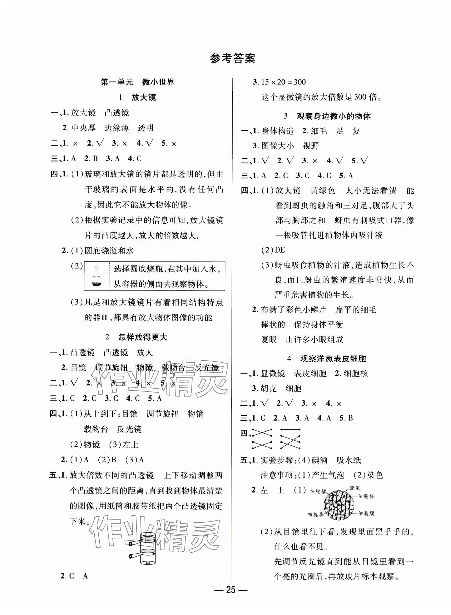 2023年尚學(xué)生香英才天天練六年級科學(xué)上冊教科版 第1頁