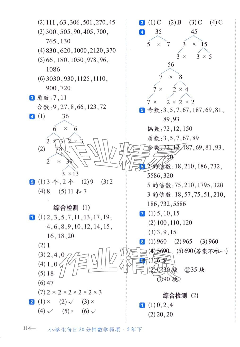 2024年小學生每日20分鐘五年級數(shù)學下冊人教版 第3頁