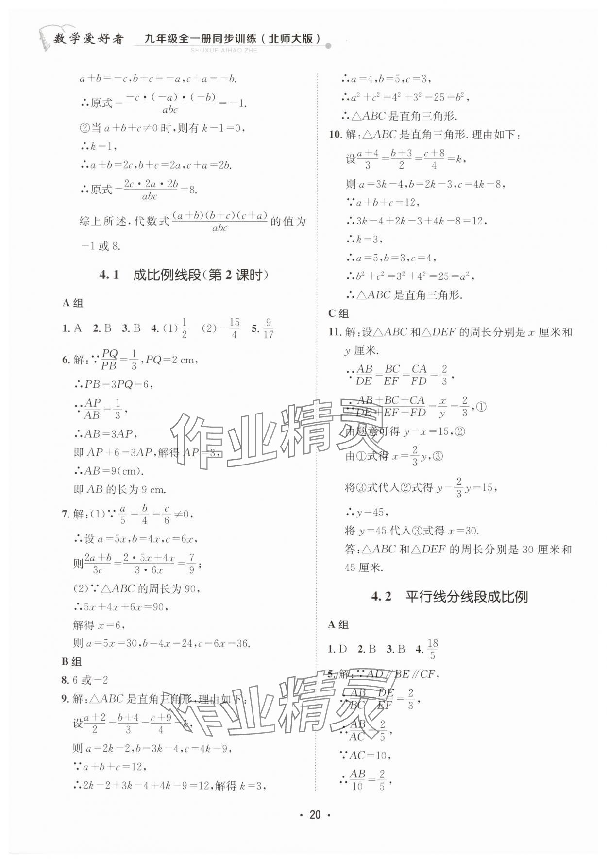 2024年數(shù)學愛好者同步訓練九年級全一冊北師大版 第20頁