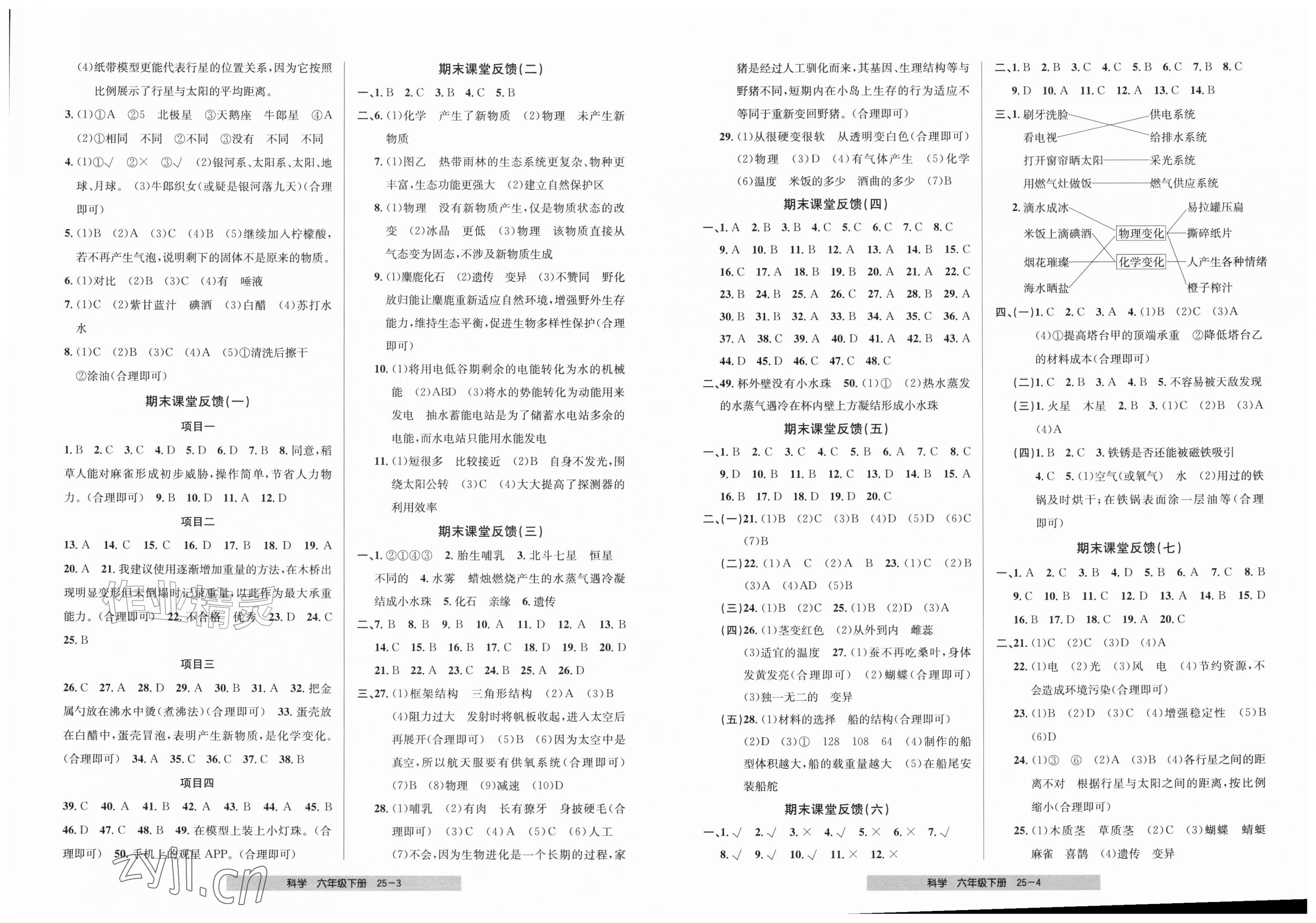 2026年期末直通车六年级科学下册教科版&nbsp;第2页