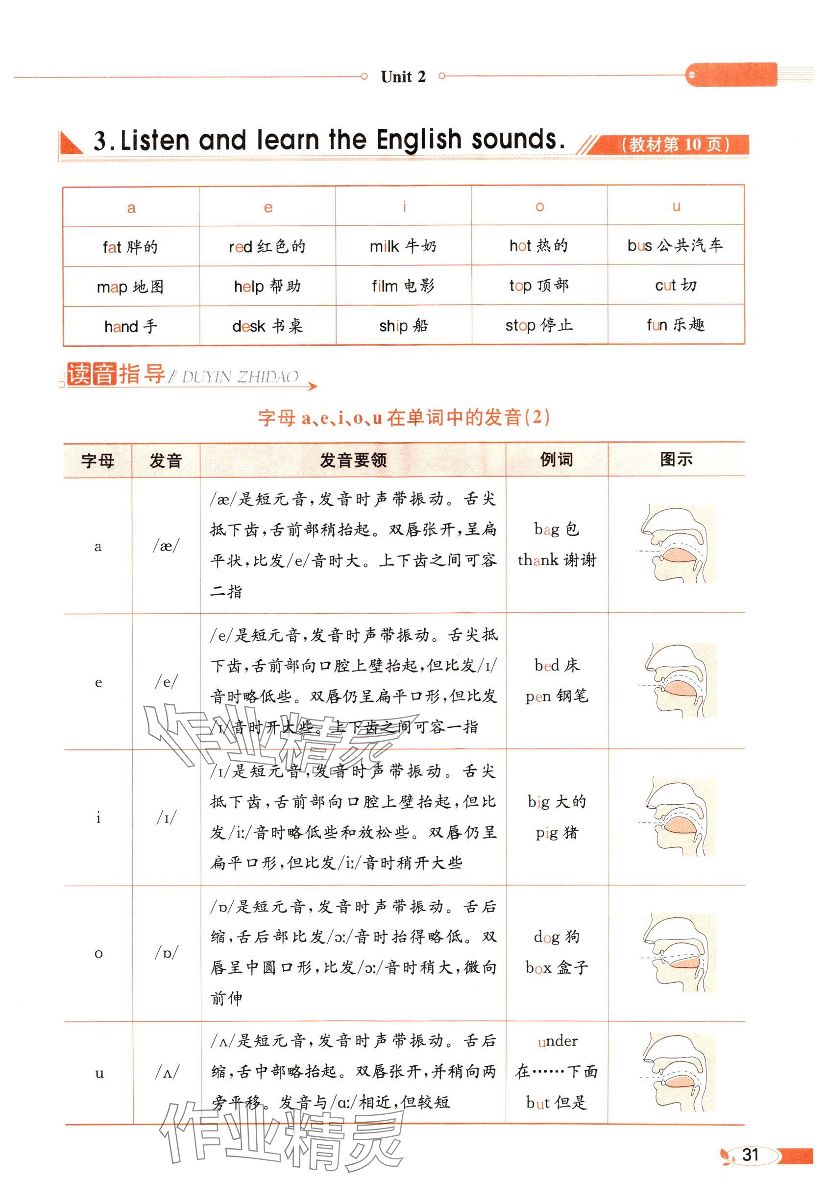 2025年教材課本六年級英語下冊閩教版 參考答案第31頁
