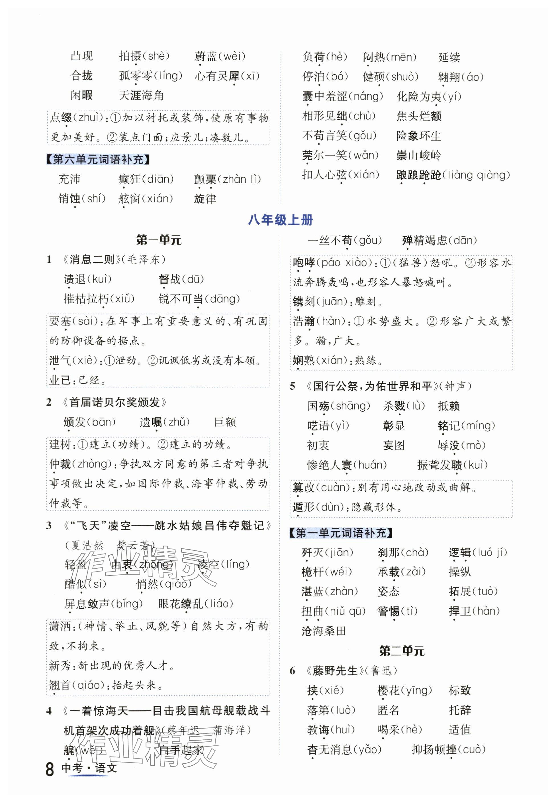 2024年國華圖書中考拐點語文南充專版 參考答案第8頁