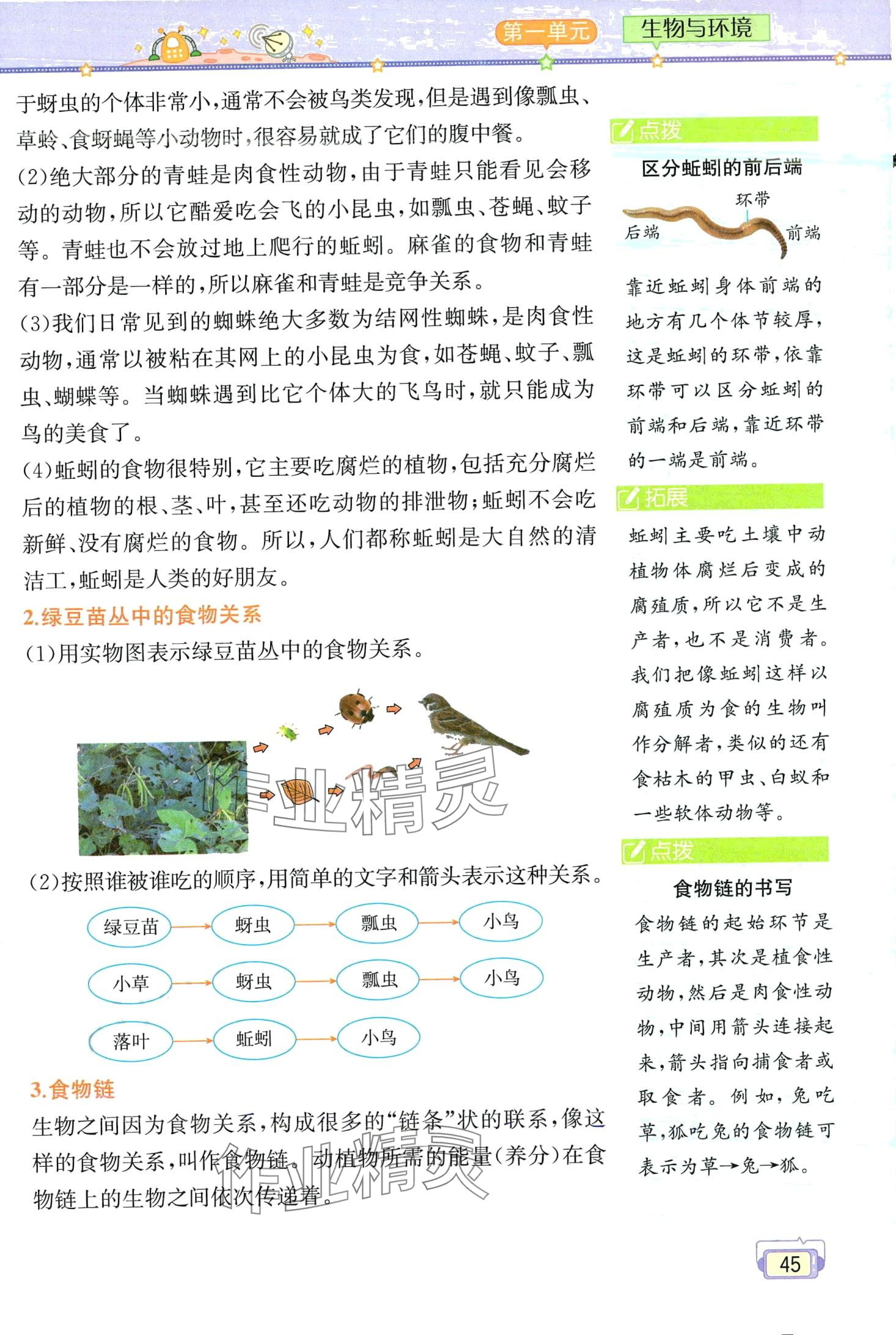 2024年教材課本五年級科學(xué)下冊教科版 第45頁