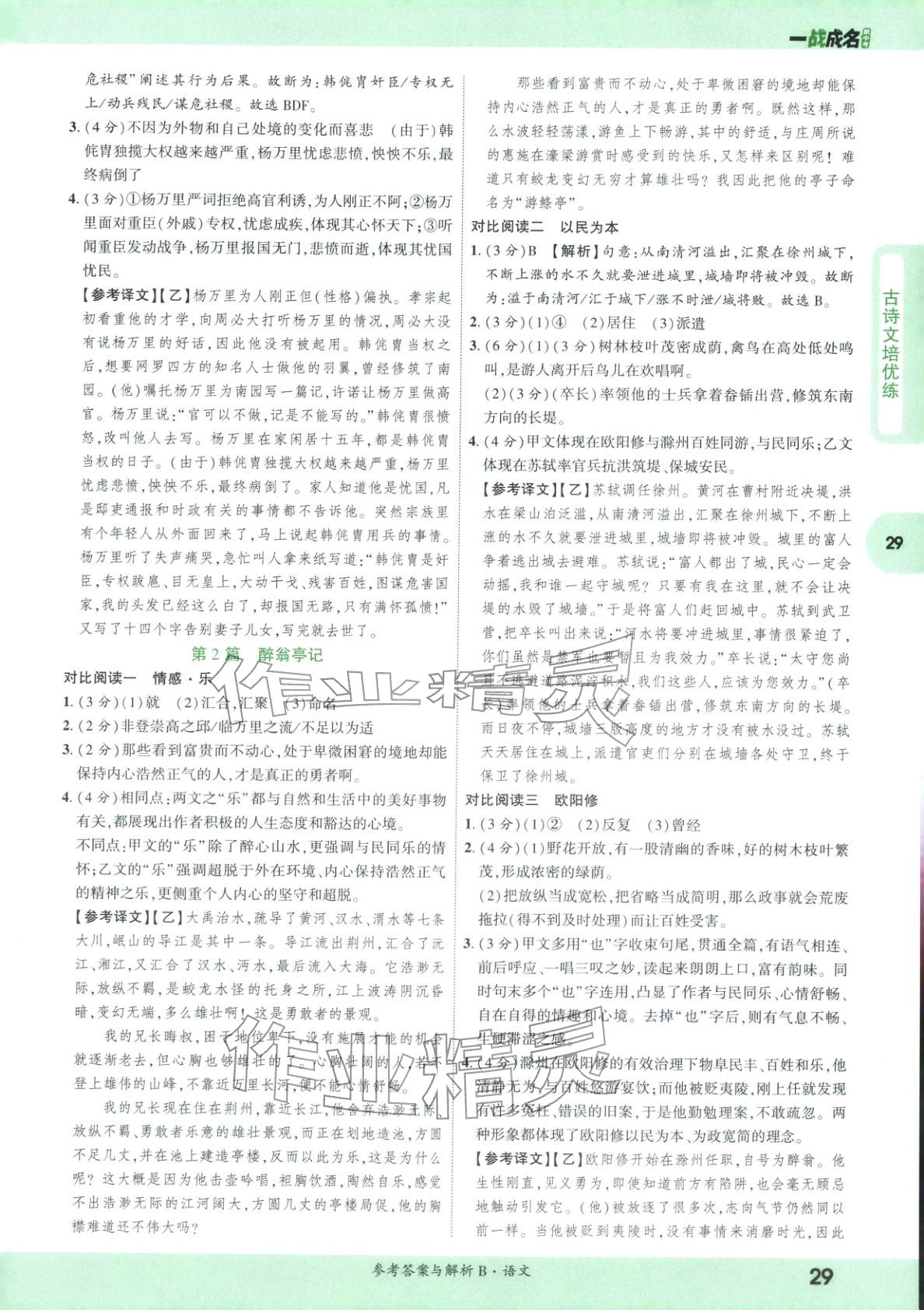 2026年纯练版总复习九年级语文全一册人教版&nbsp;第29页