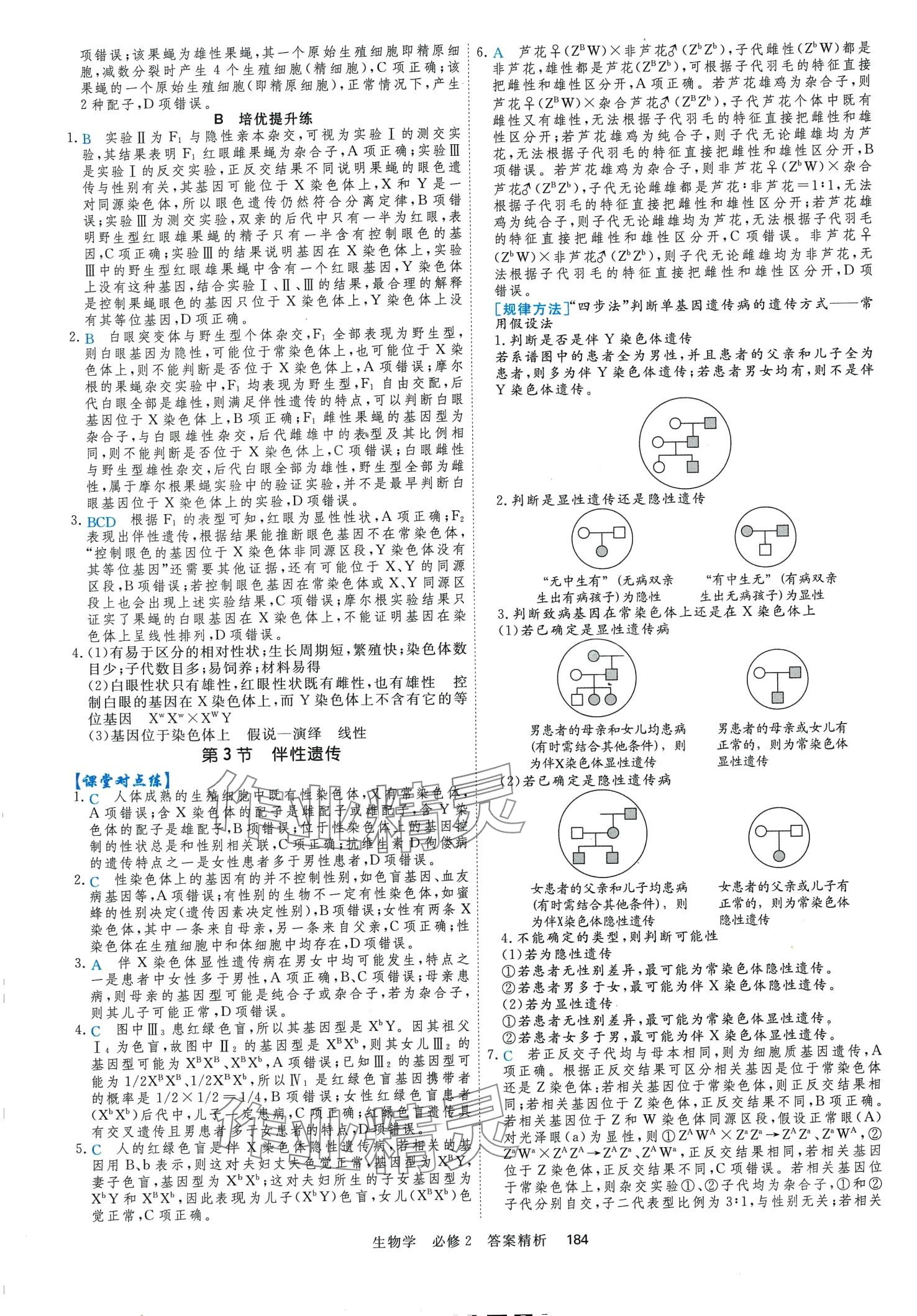 2024年課時(shí)周測(cè)月考高中生物（遺傳與進(jìn)化）必修2 第11頁(yè)