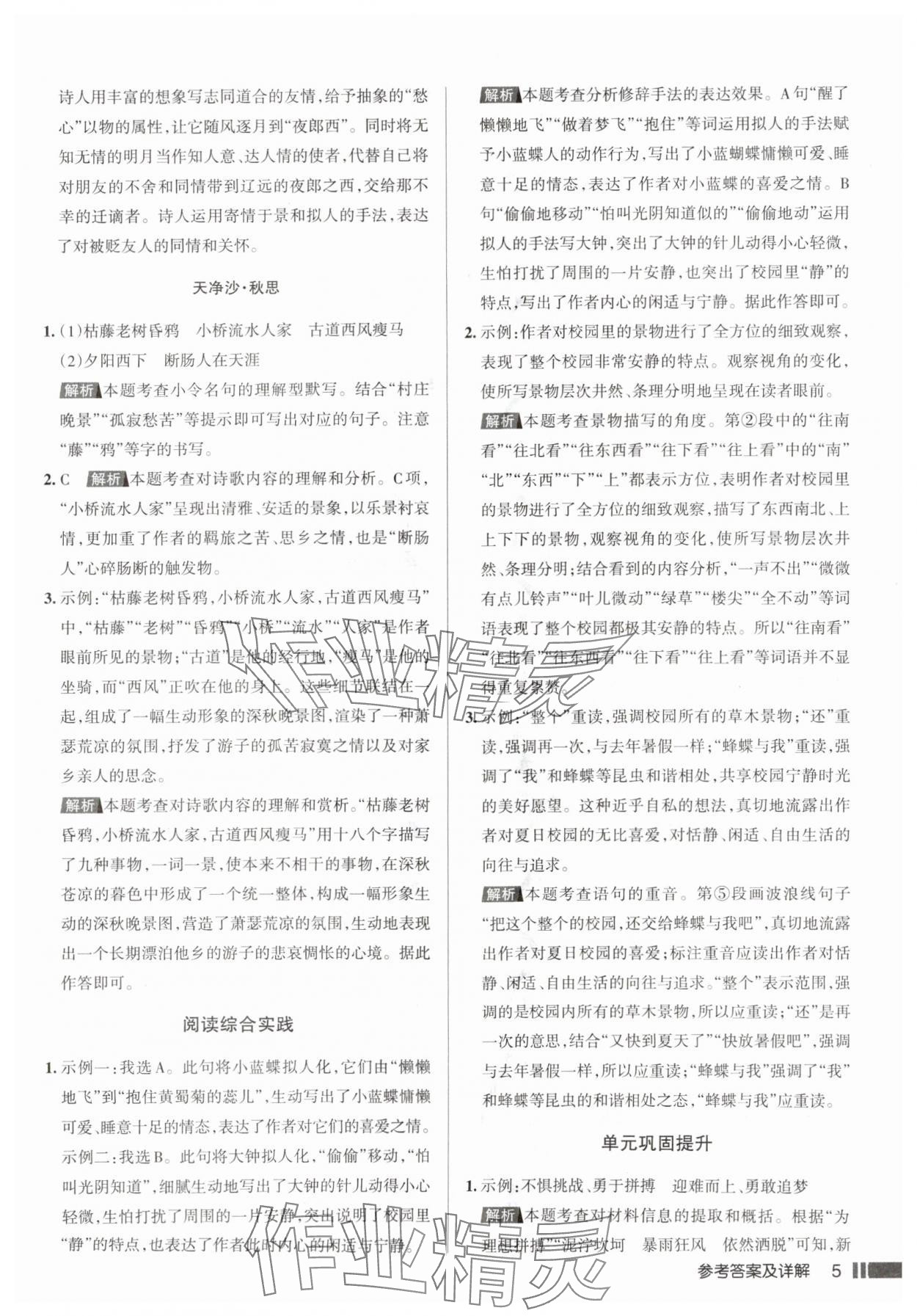 2025年名校作业七年级语文上册人教版山西专版&nbsp;参考答案第5页