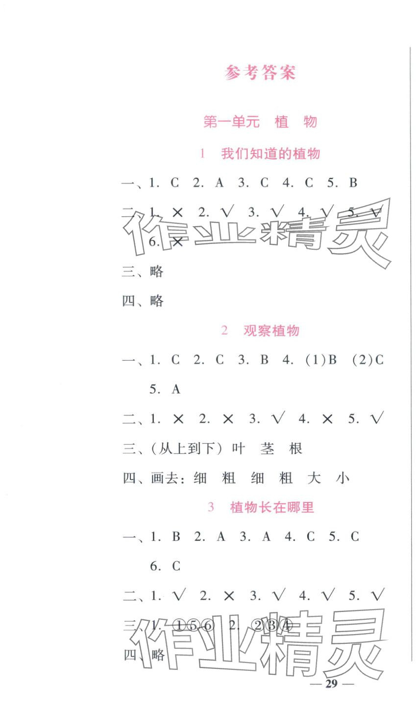 2025年小桔豆名师教你一年级科学上册教科版 第1页