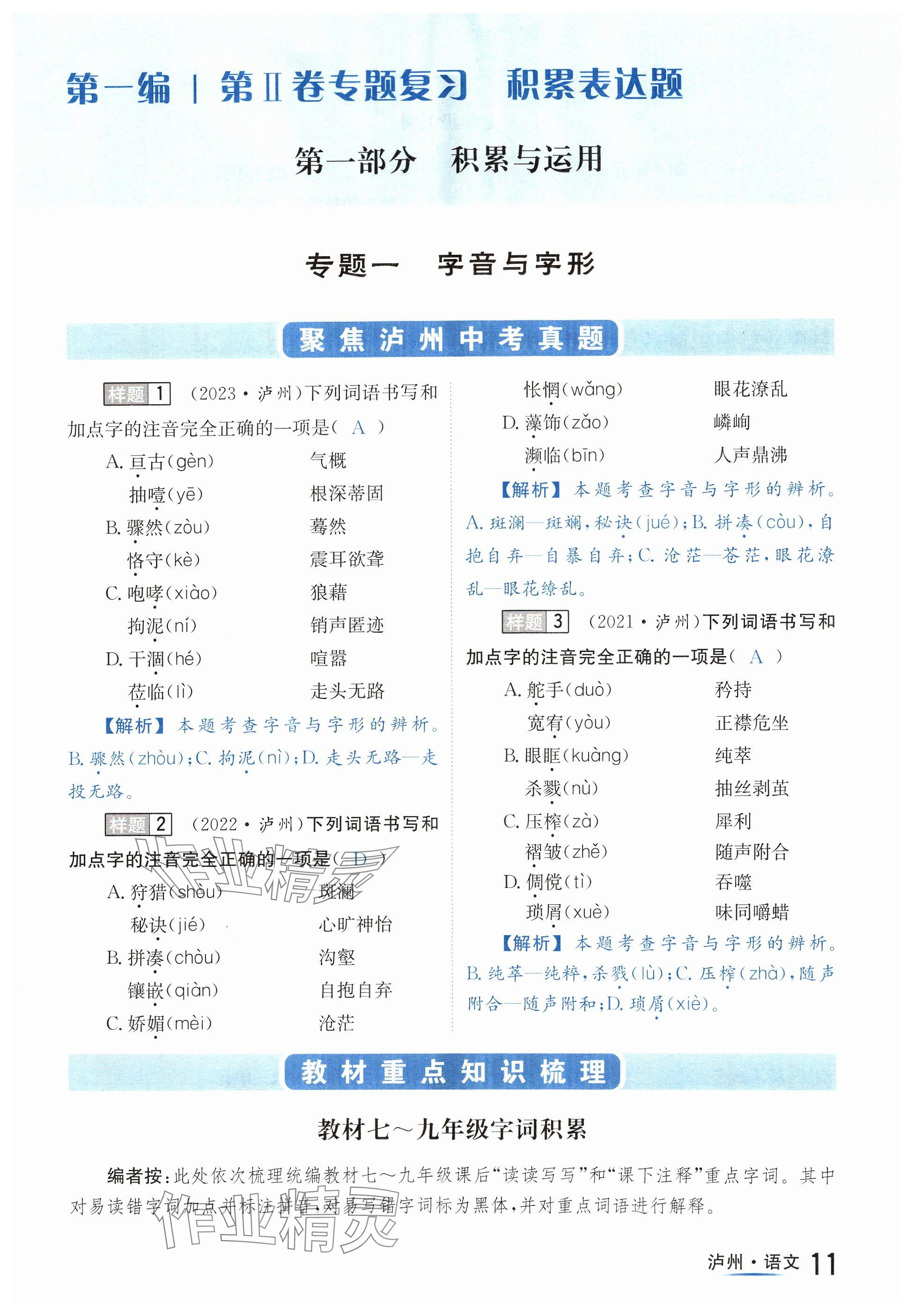 2024年国华考试中考总动员语文泸州专版 参考答案第11页