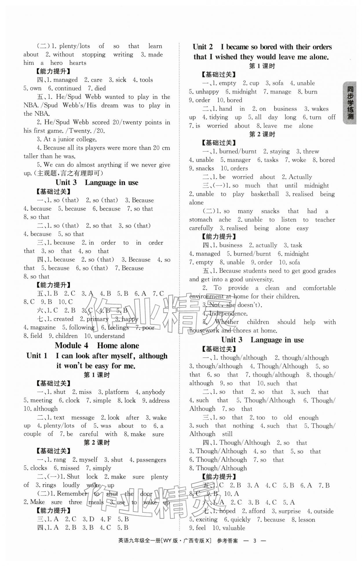 2025年全效學習同步學練測九年級英語全一冊外研版廣西專版 第3頁