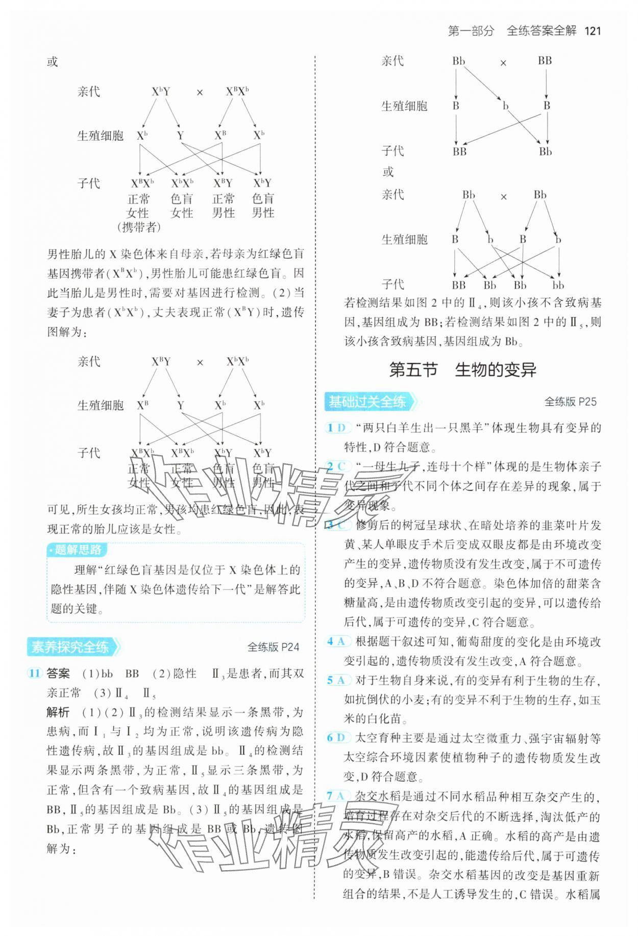 2025年5年中考3年模擬八年級(jí)生物下冊(cè)蘇教版 第11頁(yè)
