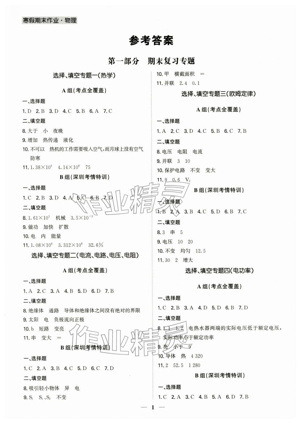 2026年假期作業(yè)+期末復(fù)習(xí)九年級物理深圳專版&nbsp;第1頁