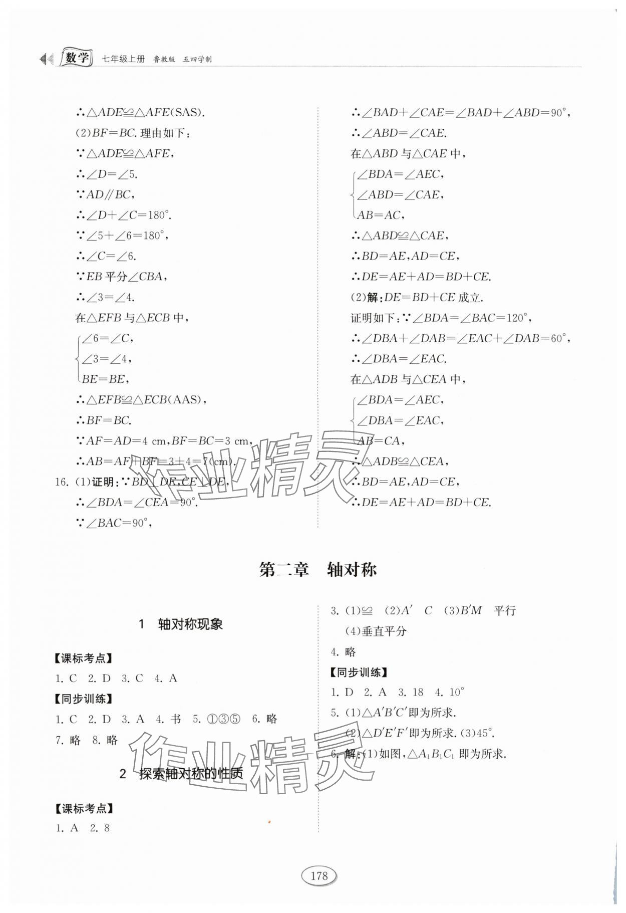 2024年同步練習冊山東科學技術出版社七年級數(shù)學上冊魯教版 參考答案第7頁