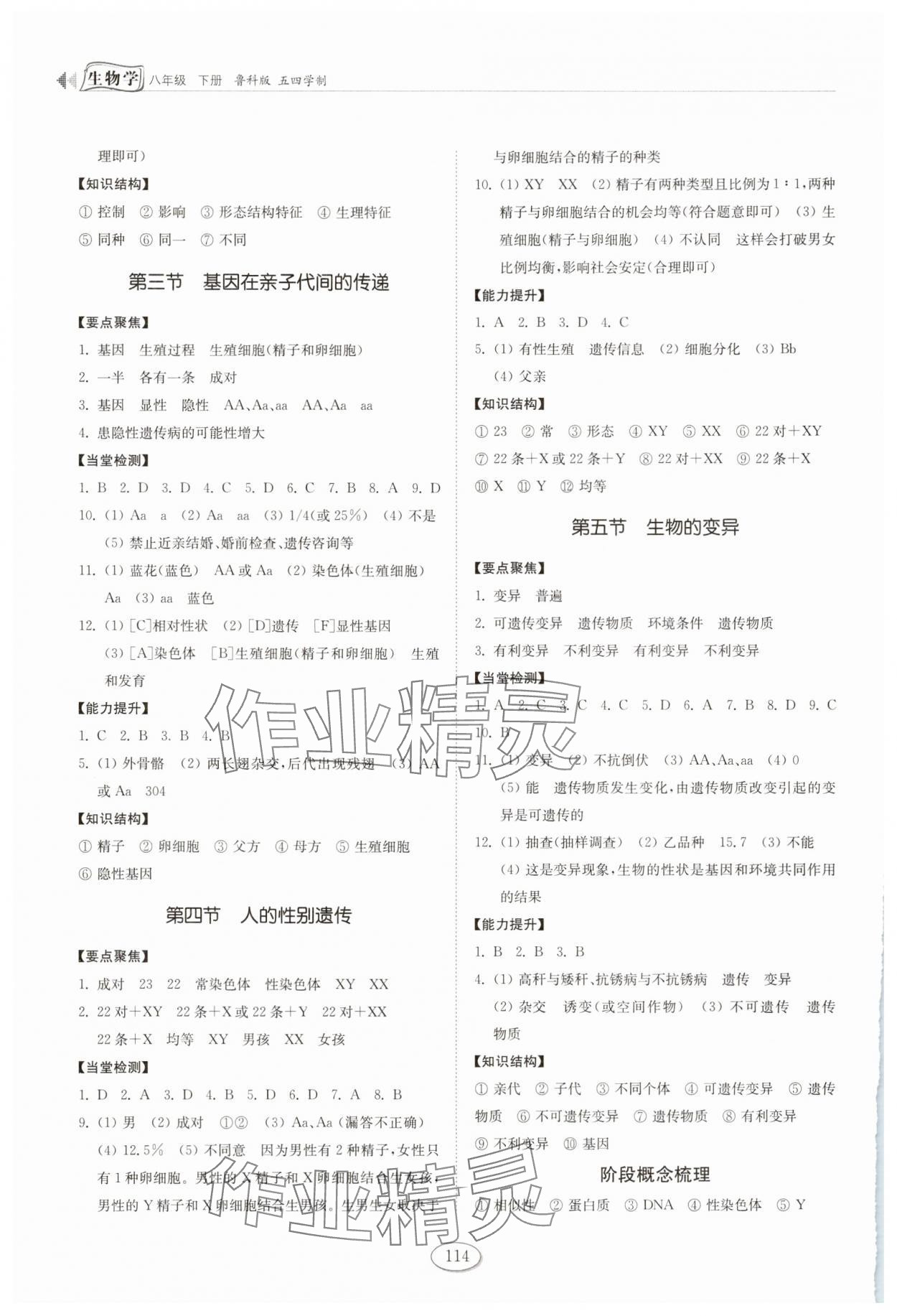 2025年初中同步練習冊山東八年級生物下冊魯科版五四制科學技術出版社 參考答案第3頁