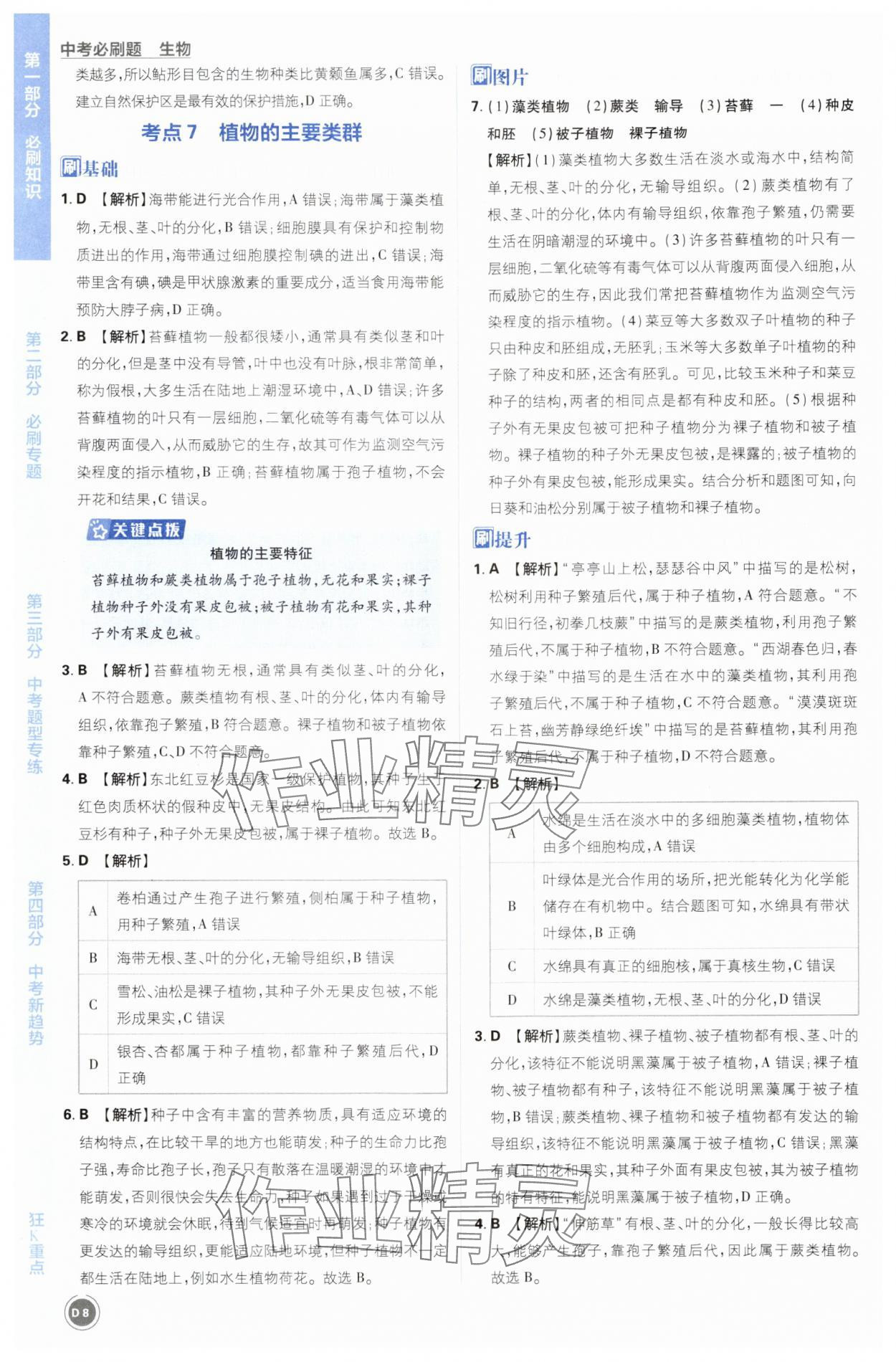 2025年中考必刷题开明出版社生物&nbsp;第8页