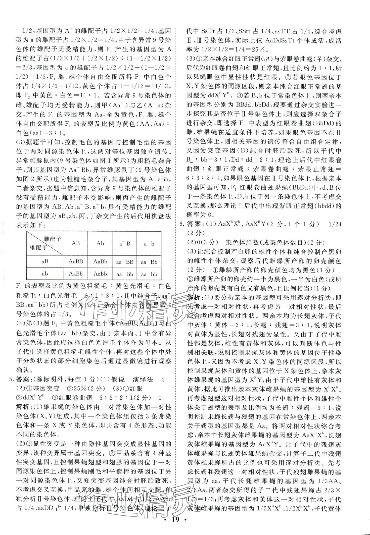 2024年衡水金卷高中生物通用版 第21頁