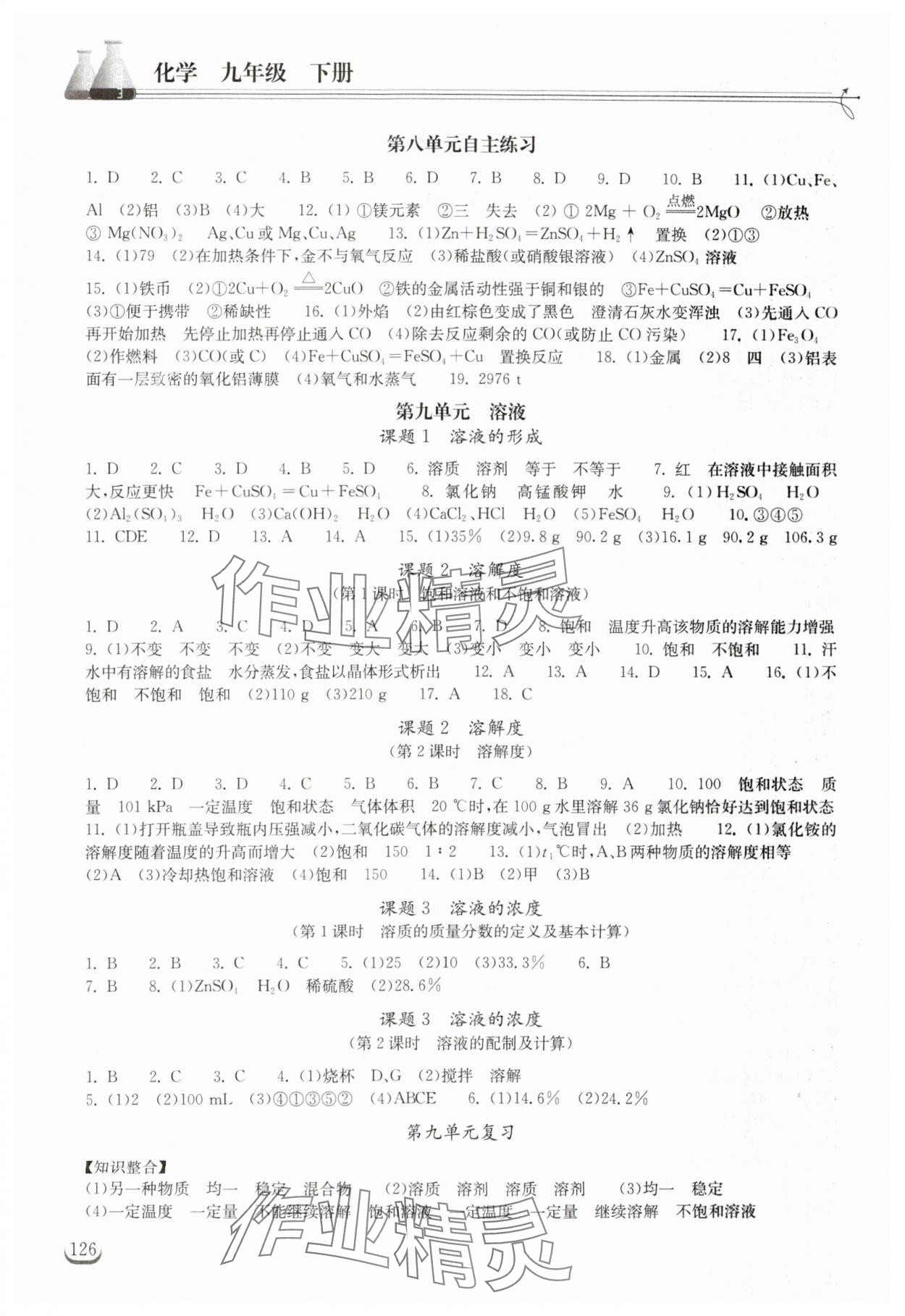 2024年长江作业本同步练习册九年级化学下册人教版 第2页