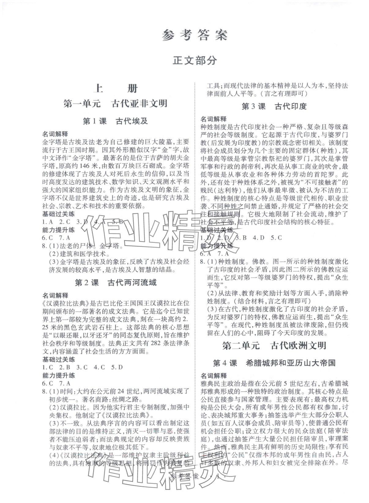 2025年新教材新评估九年级历史全一册人教版 第1页