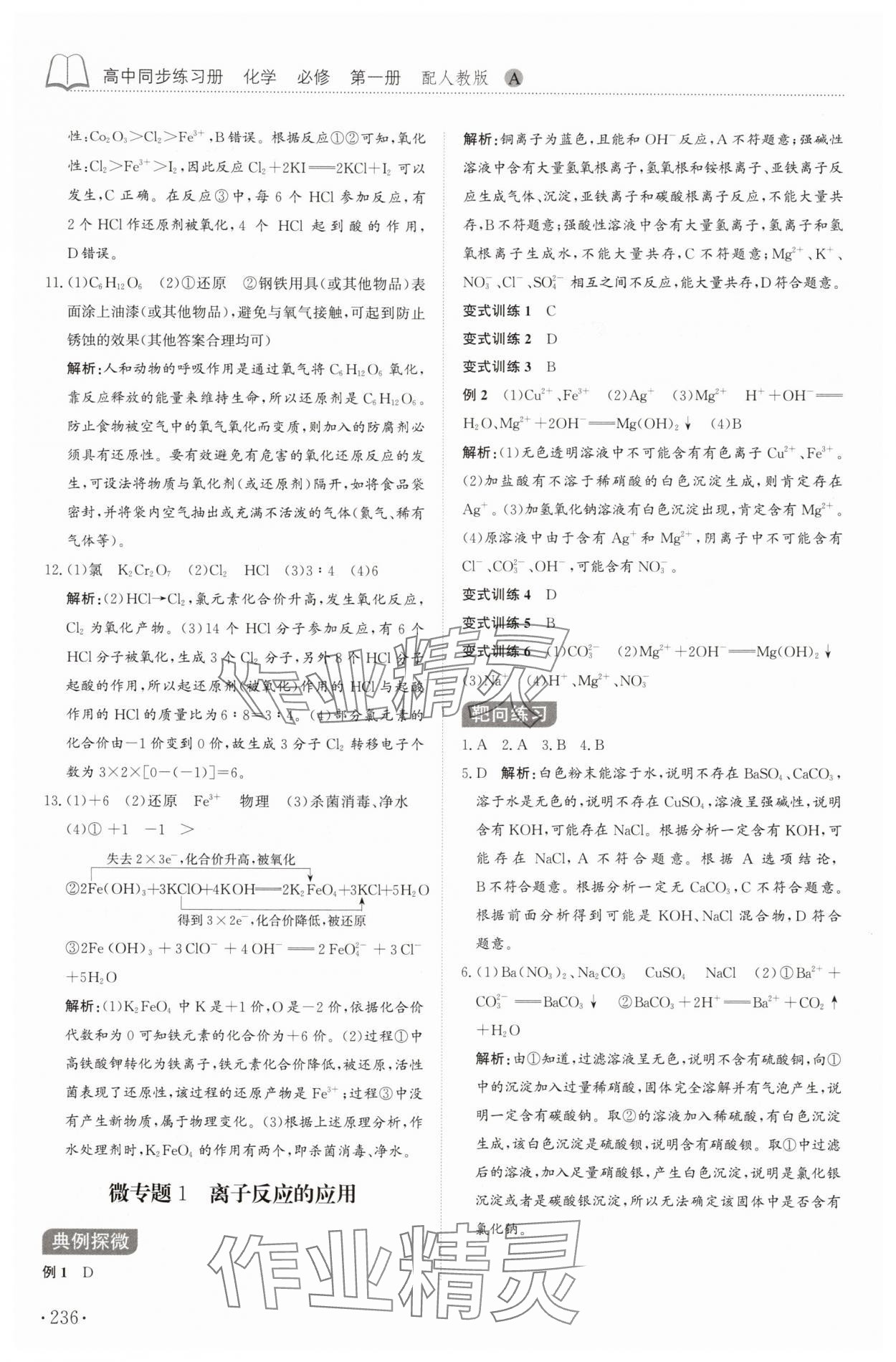 2025年同步練習冊山東科學技術出版社高中化學必修第一冊人教版 第8頁