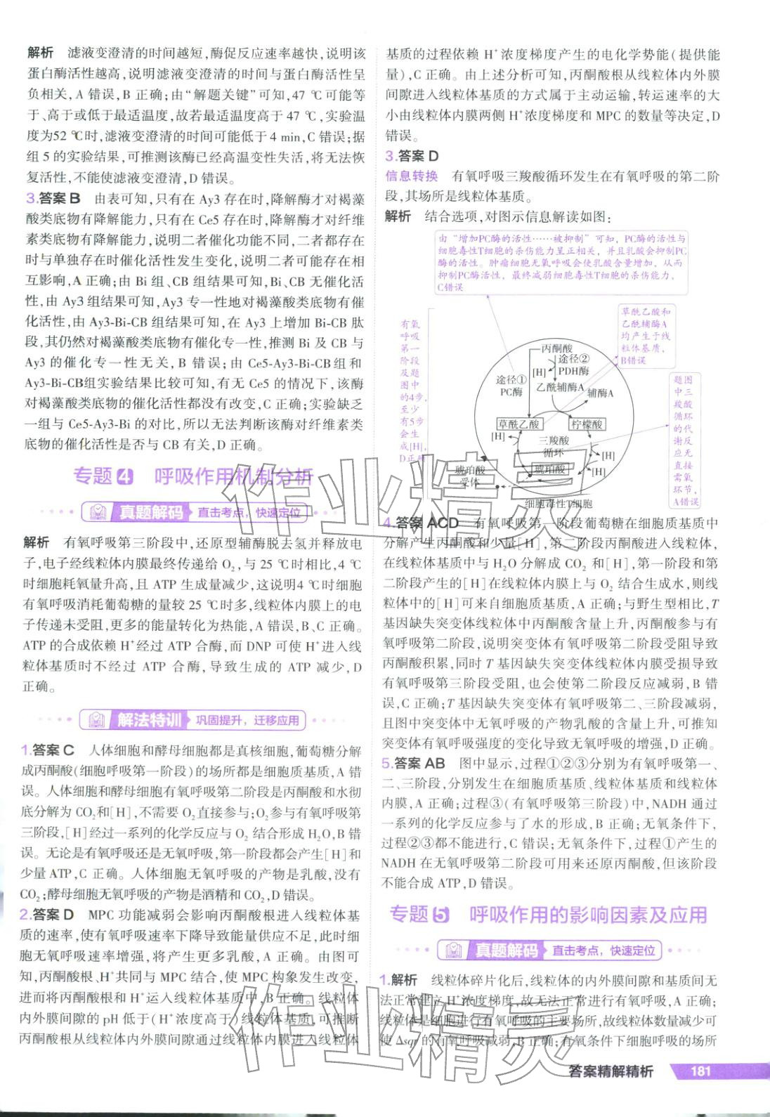 2026年53解法密鑰高考生物&nbsp;第3頁