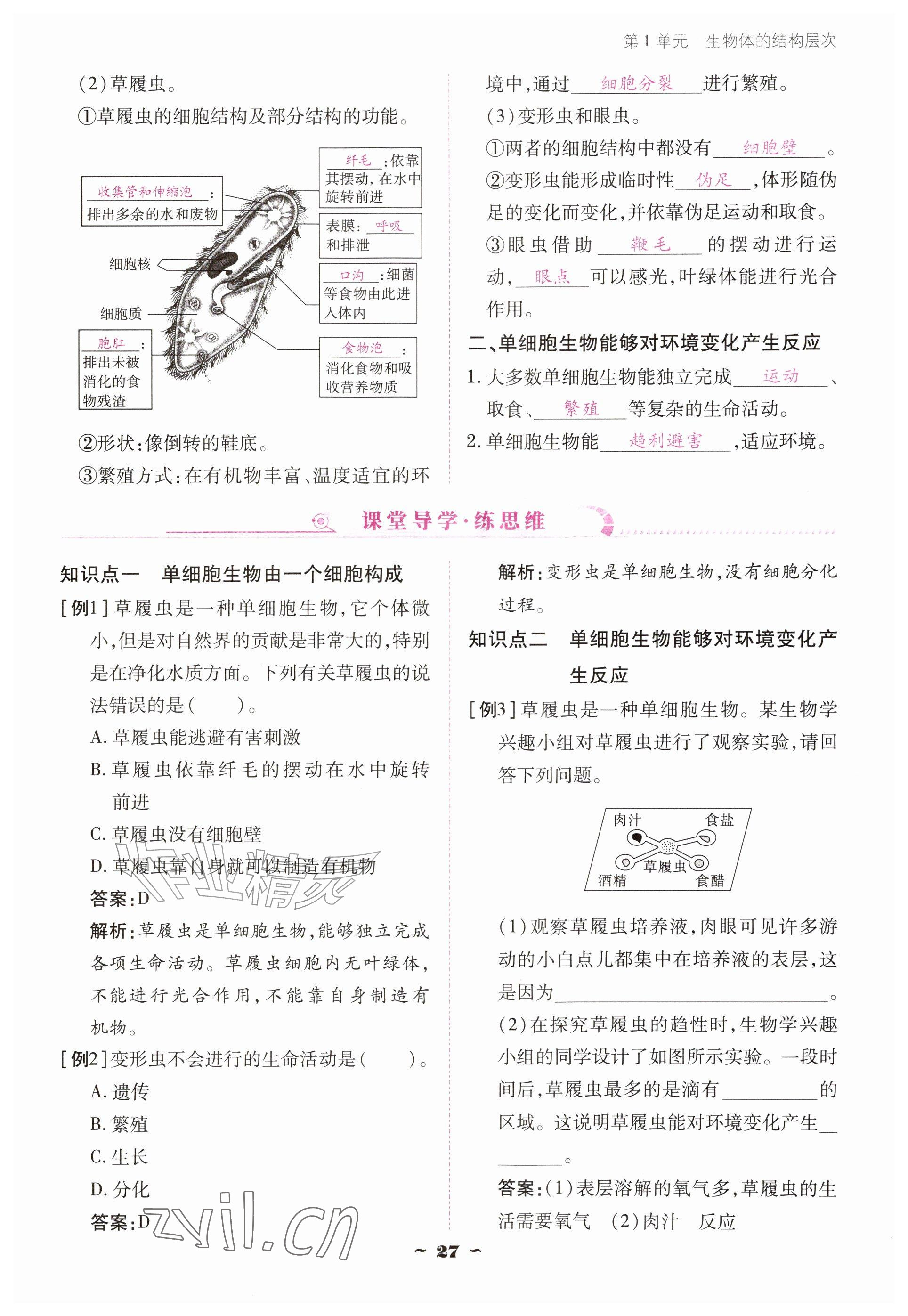 2026年云南省标准教辅优佳学案七年级历史上册人教版&nbsp;参考答案第27页