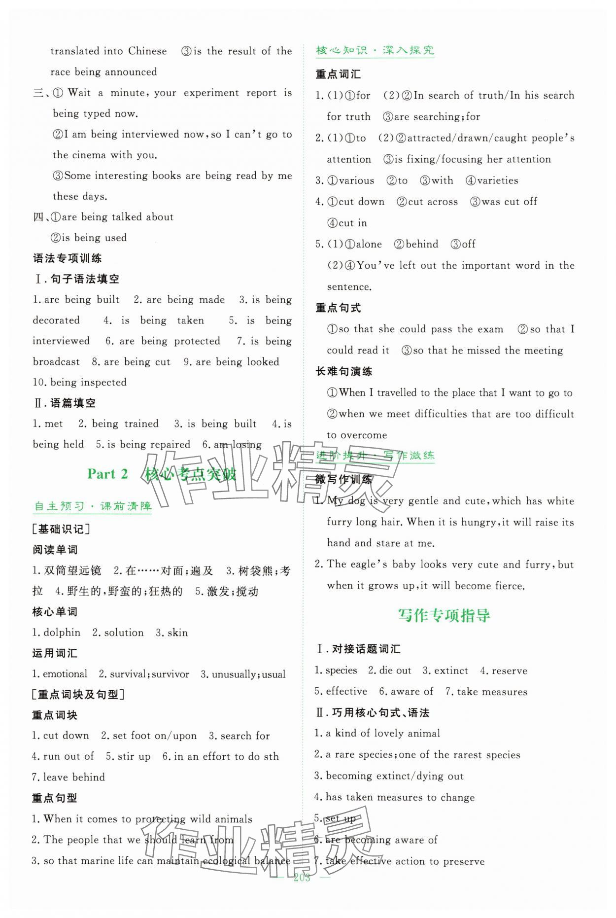 2025年高中全程学习导与练高中英语必修第二册人教版&nbsp;参考答案第5页