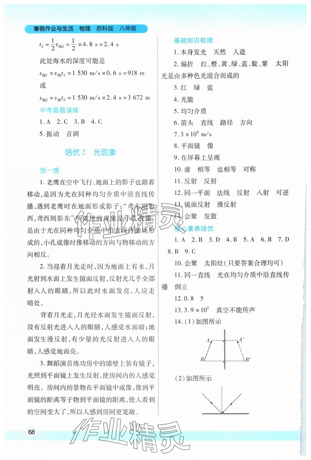 2025年寒假作業(yè)與生活陜西師范大學(xué)出版總社八年級物理蘇科版 第2頁