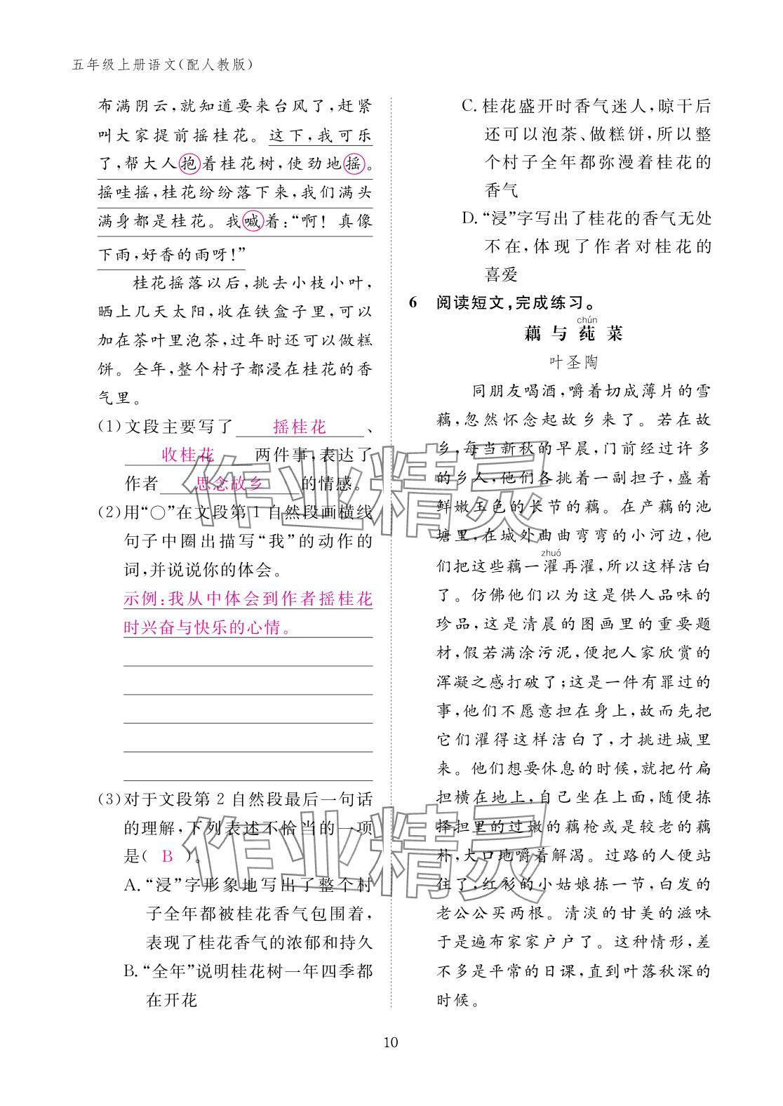 2025年作业本江西教育出版社五年级语文上册人教版 参考答案第10页